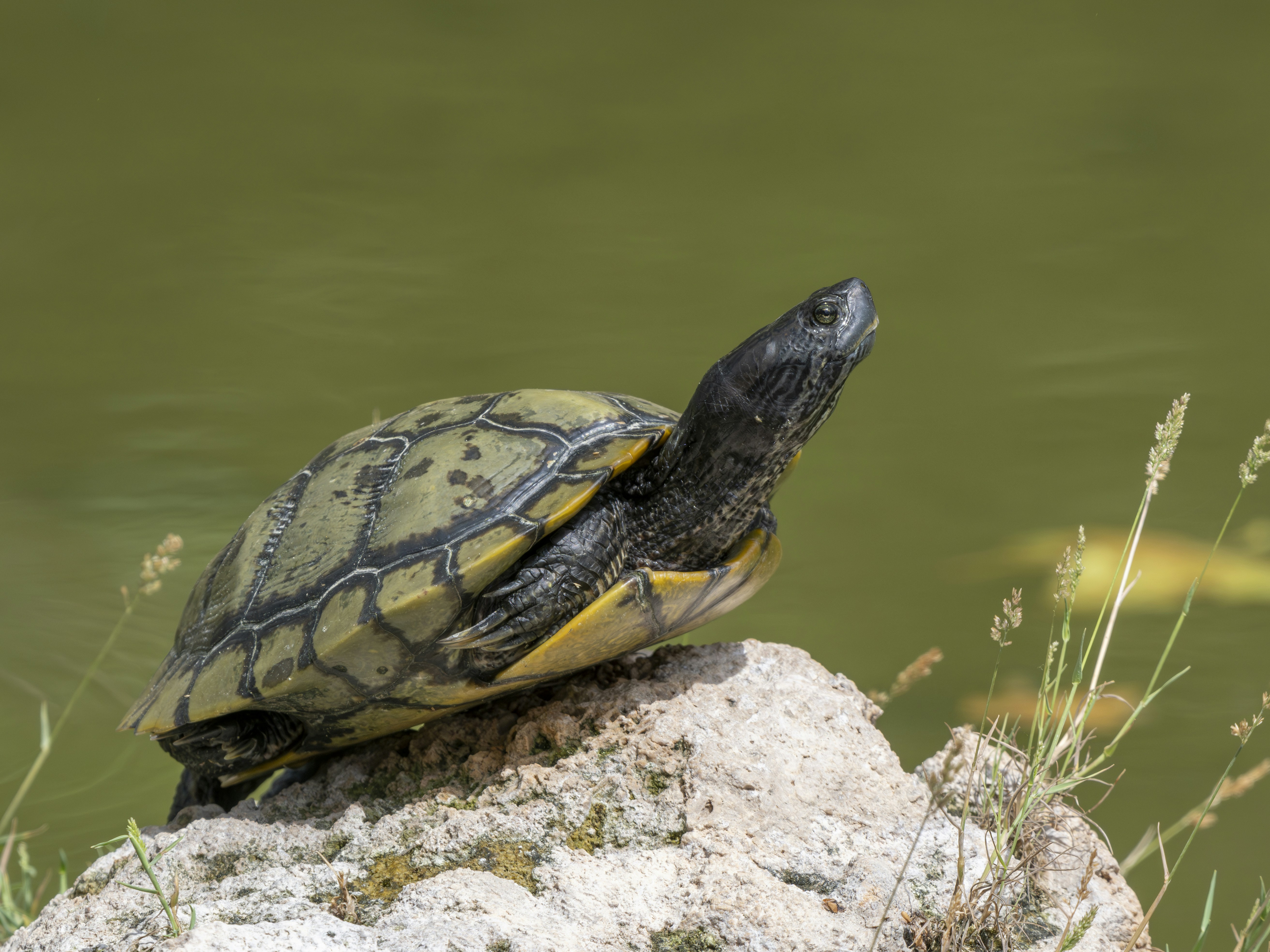 Photo by enginakyurt