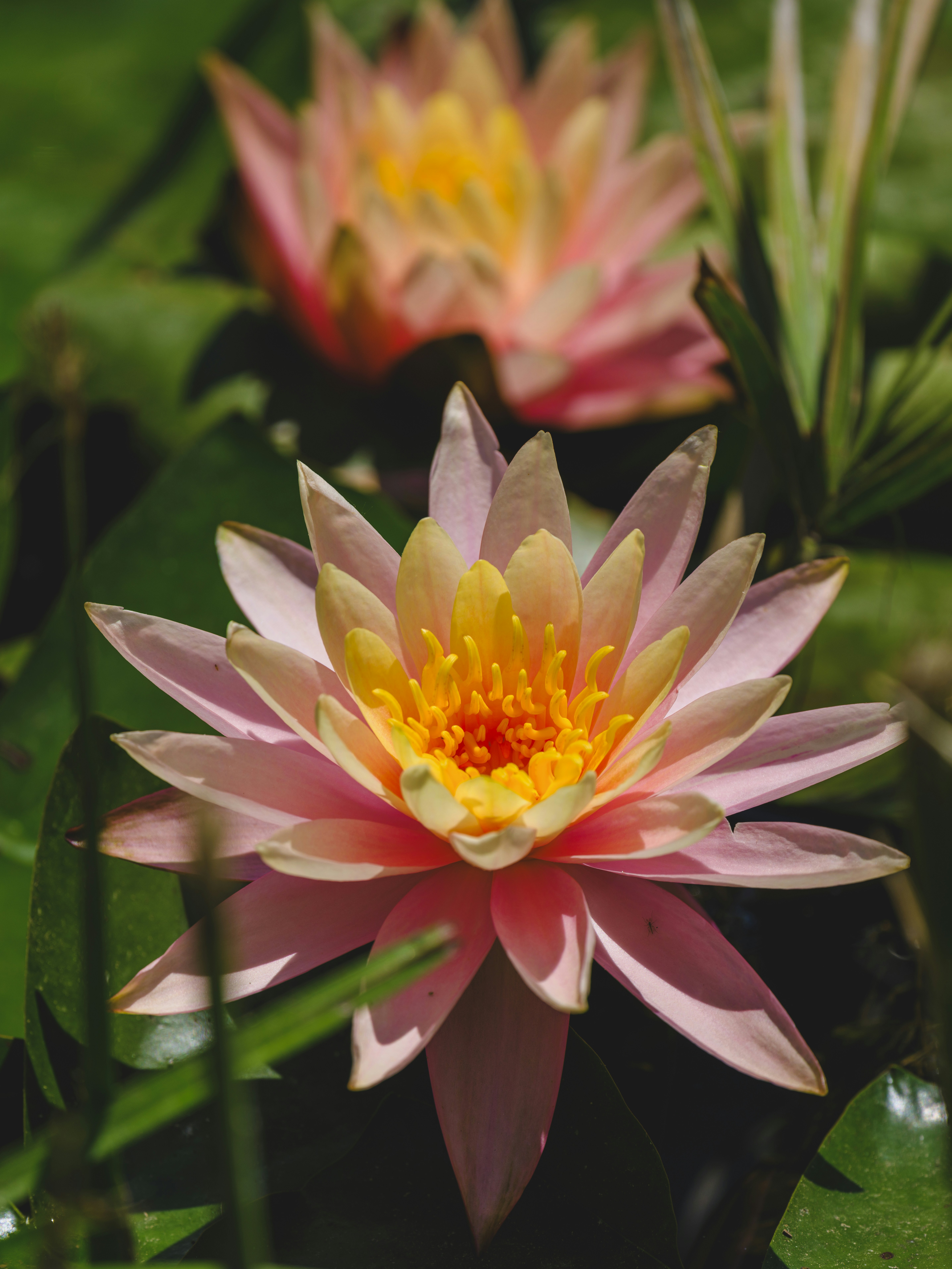 Photo by enginakyurt