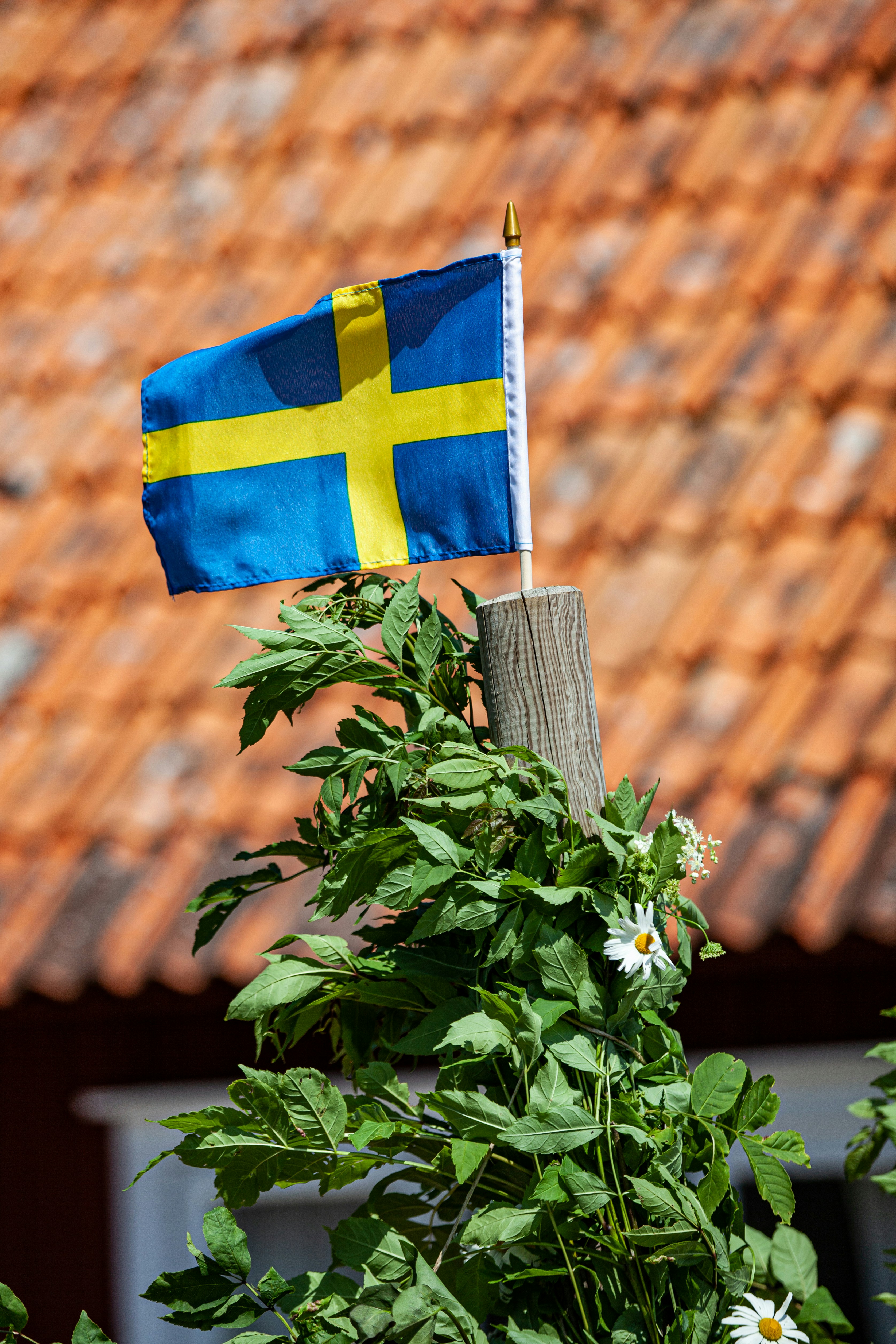 Schwedische Flagge an einem Mast mit Grün.
