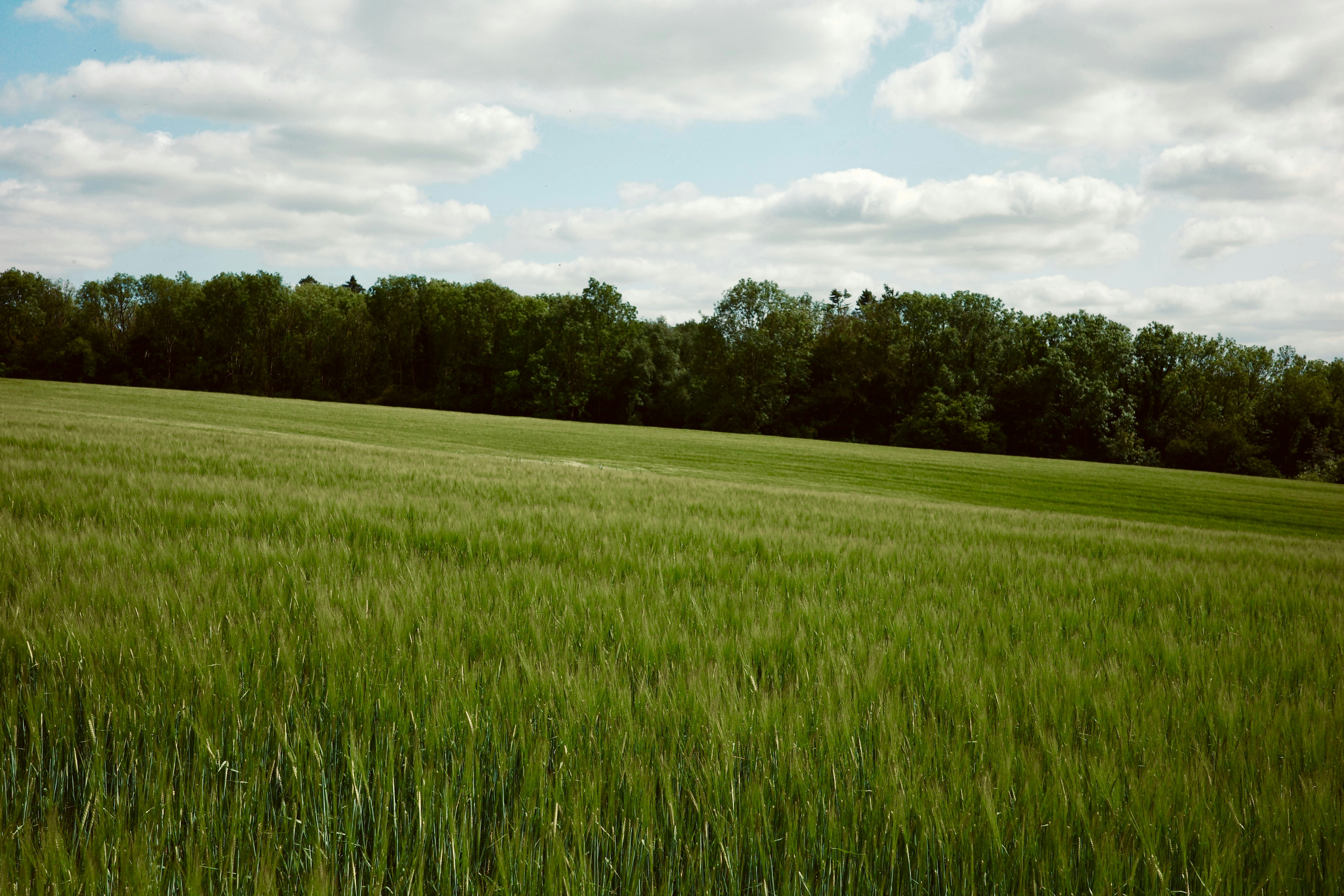 Photo by tomasrobertson