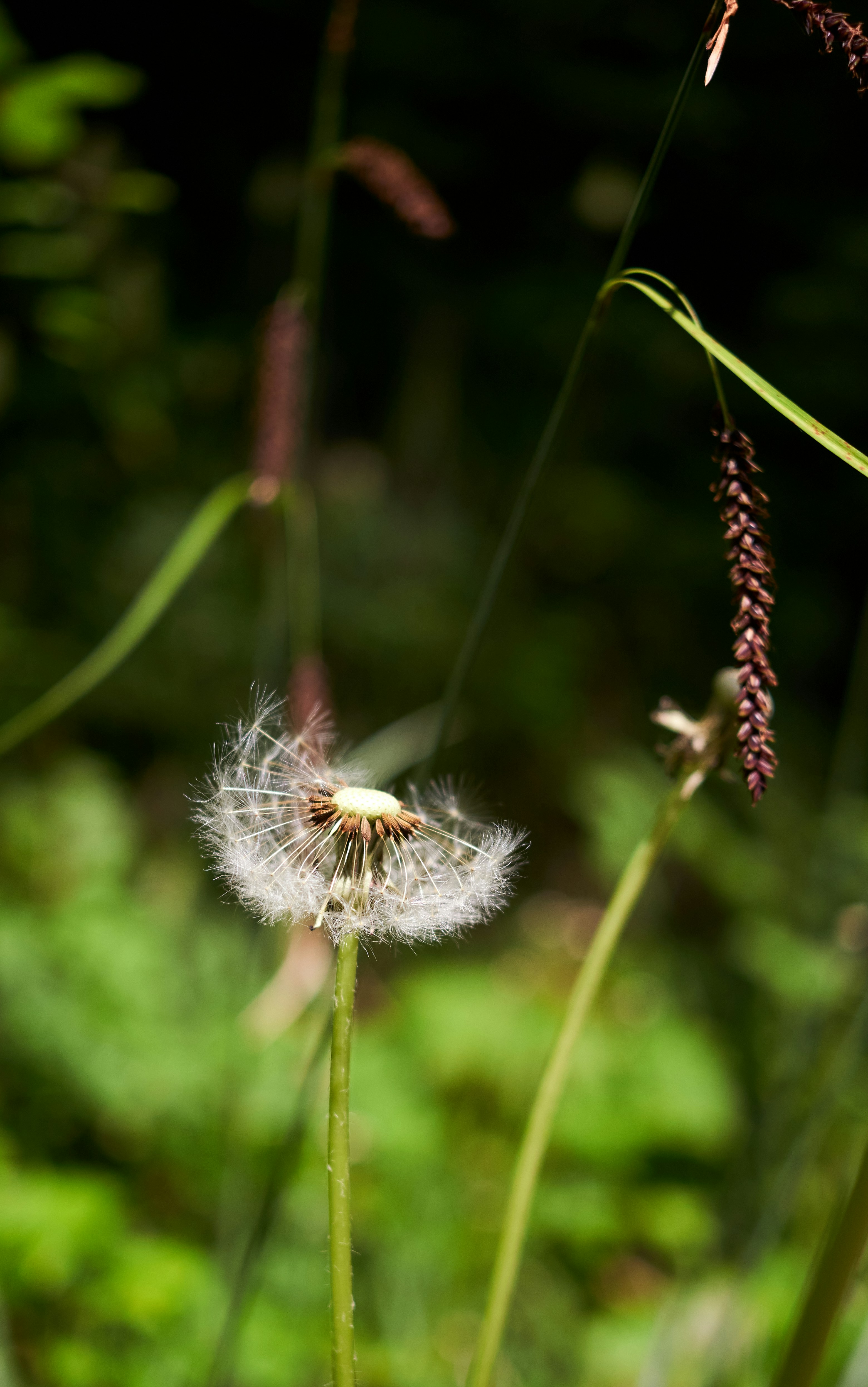 Photo by sandipj