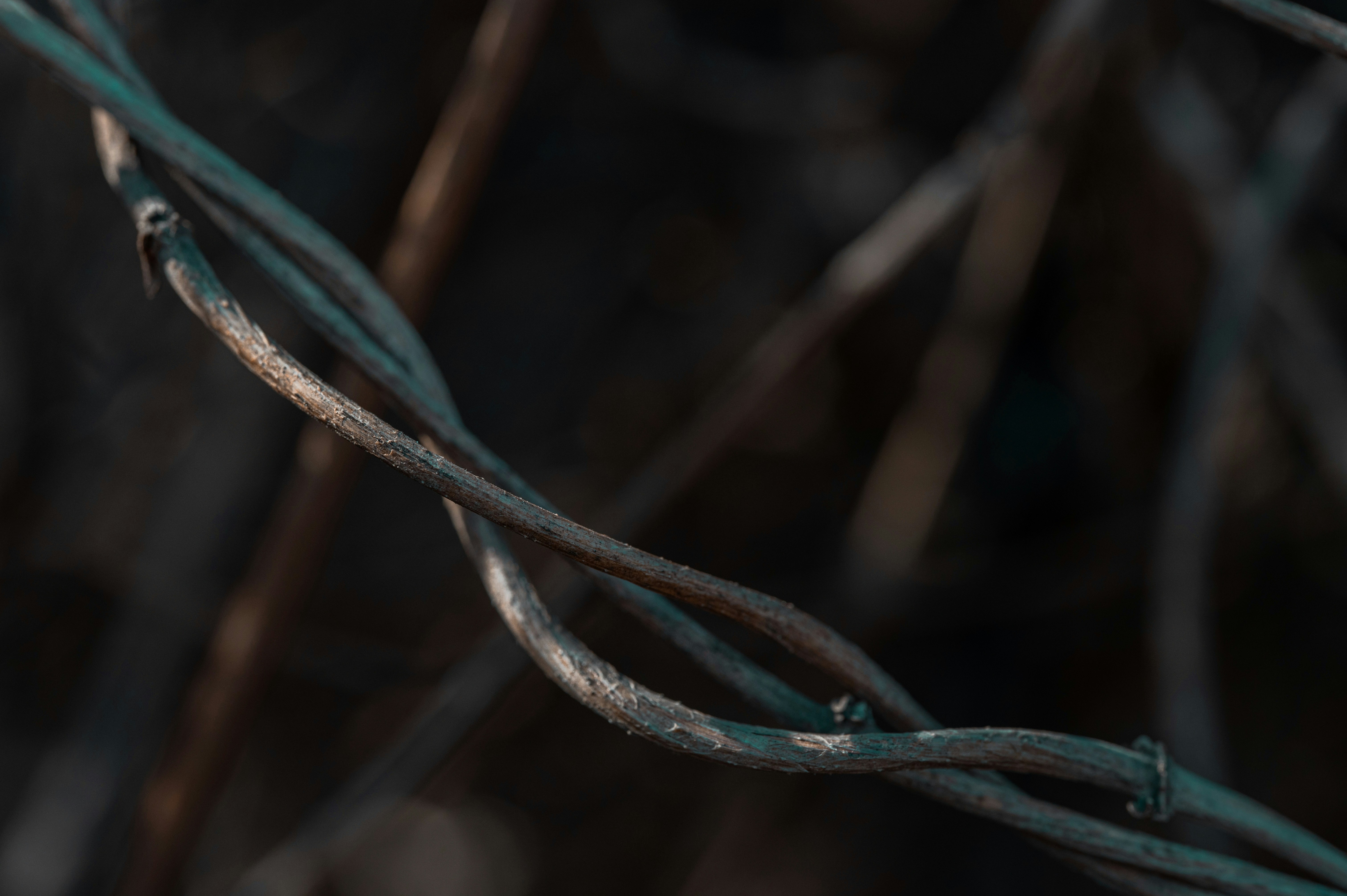 Photo by volodymyr_leush