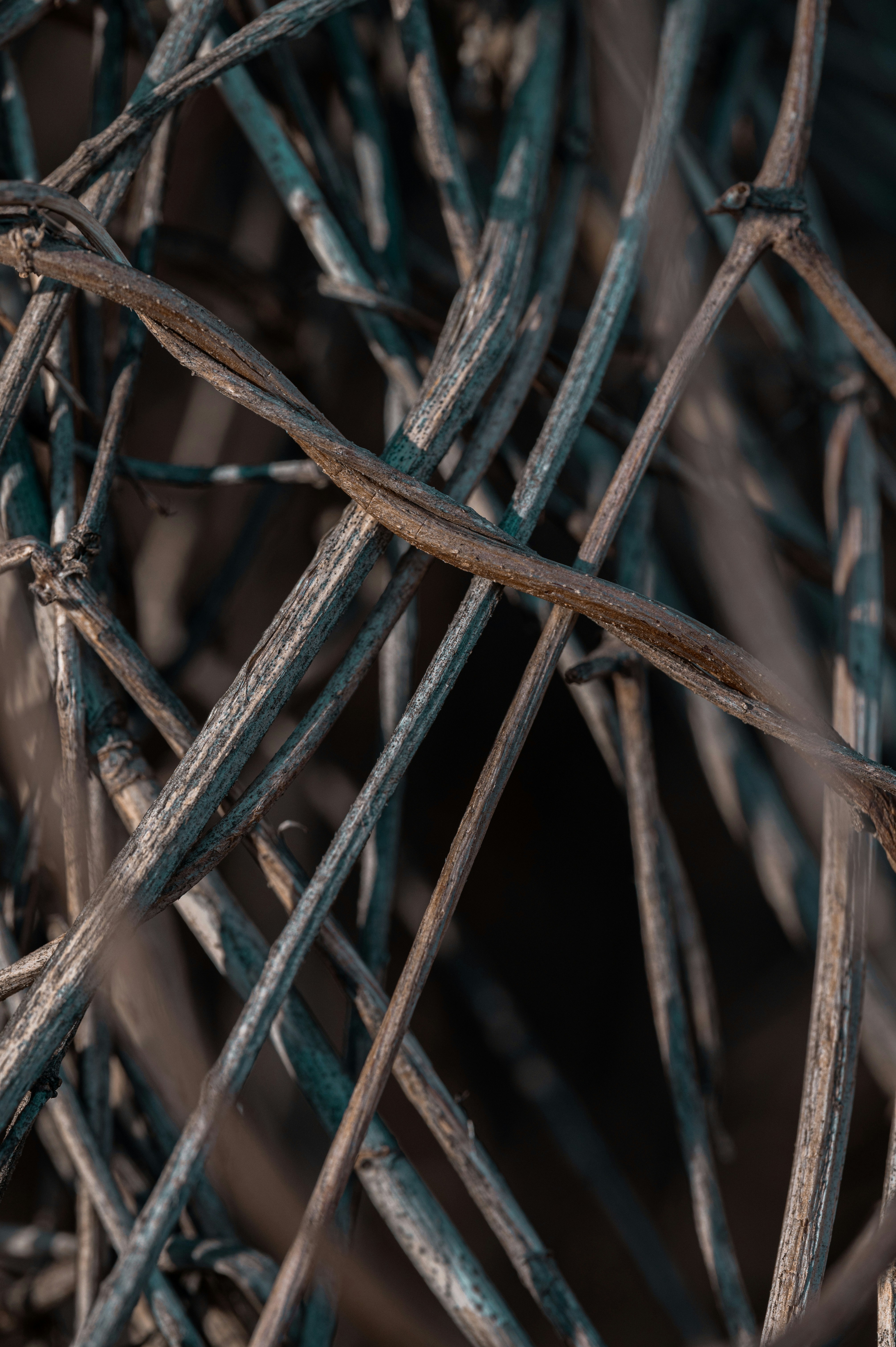 Photo by volodymyr_leush