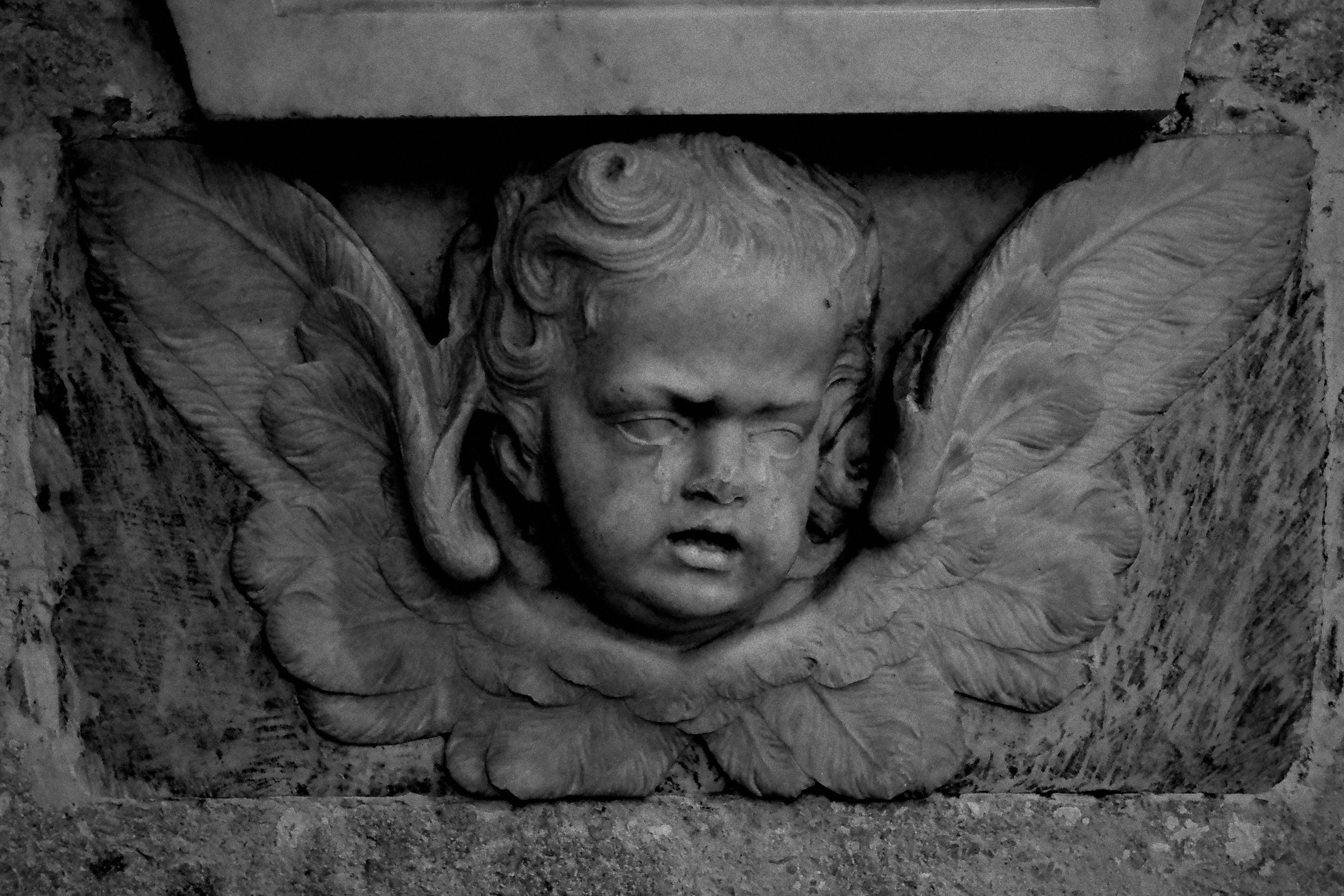 Photo by tomasrobertson