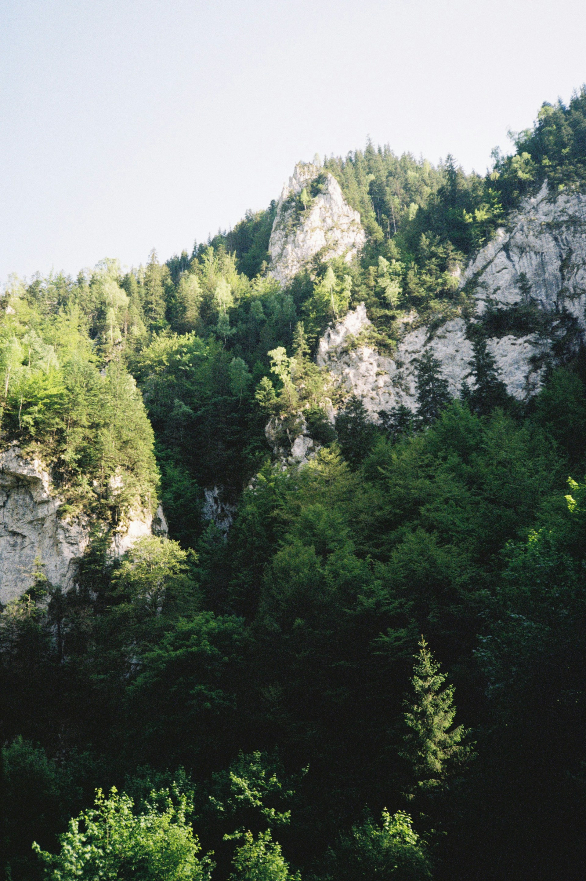 Mountains and lush green trees fill the view.