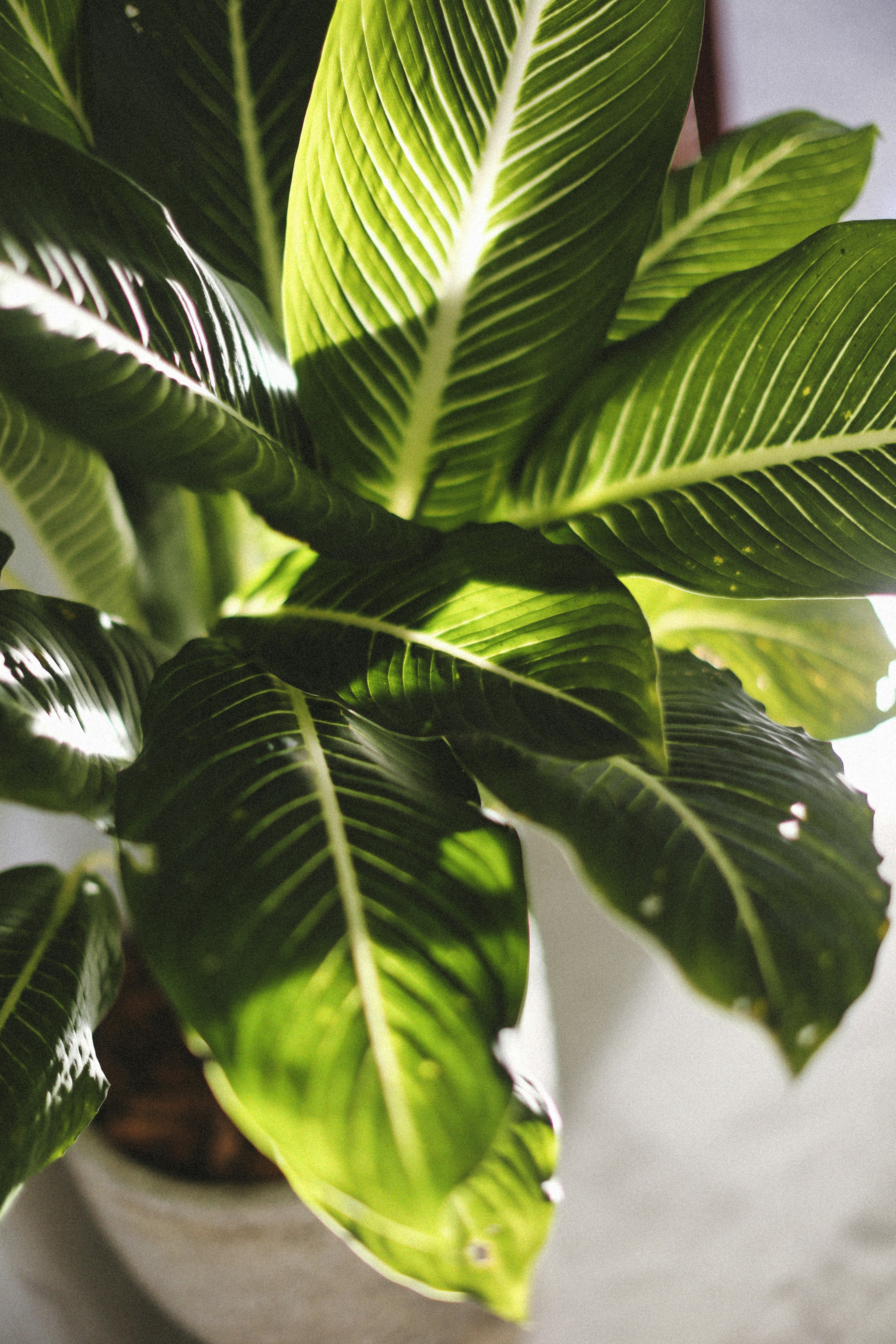 Photo by alexeydemidov