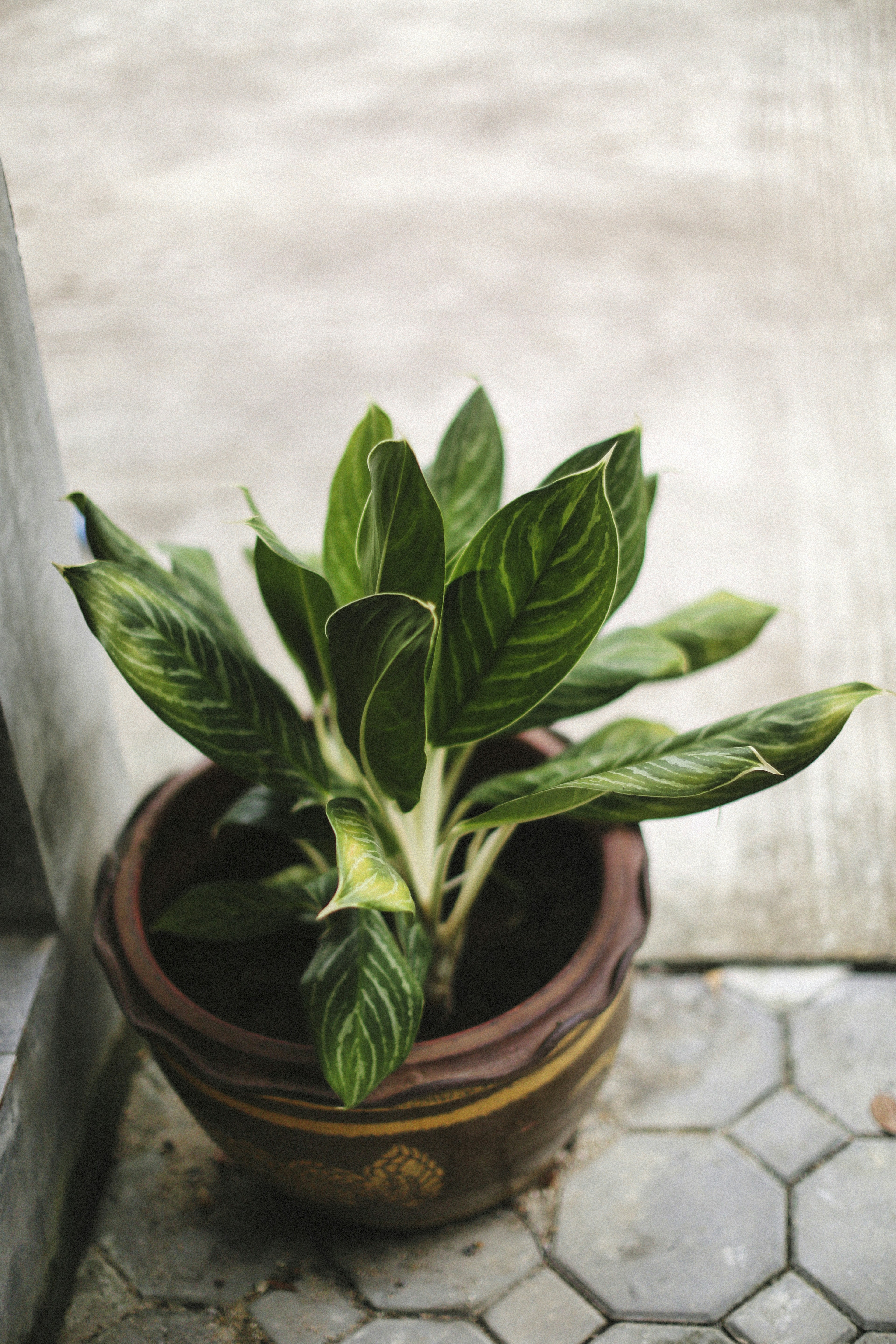 Photo by alexeydemidov