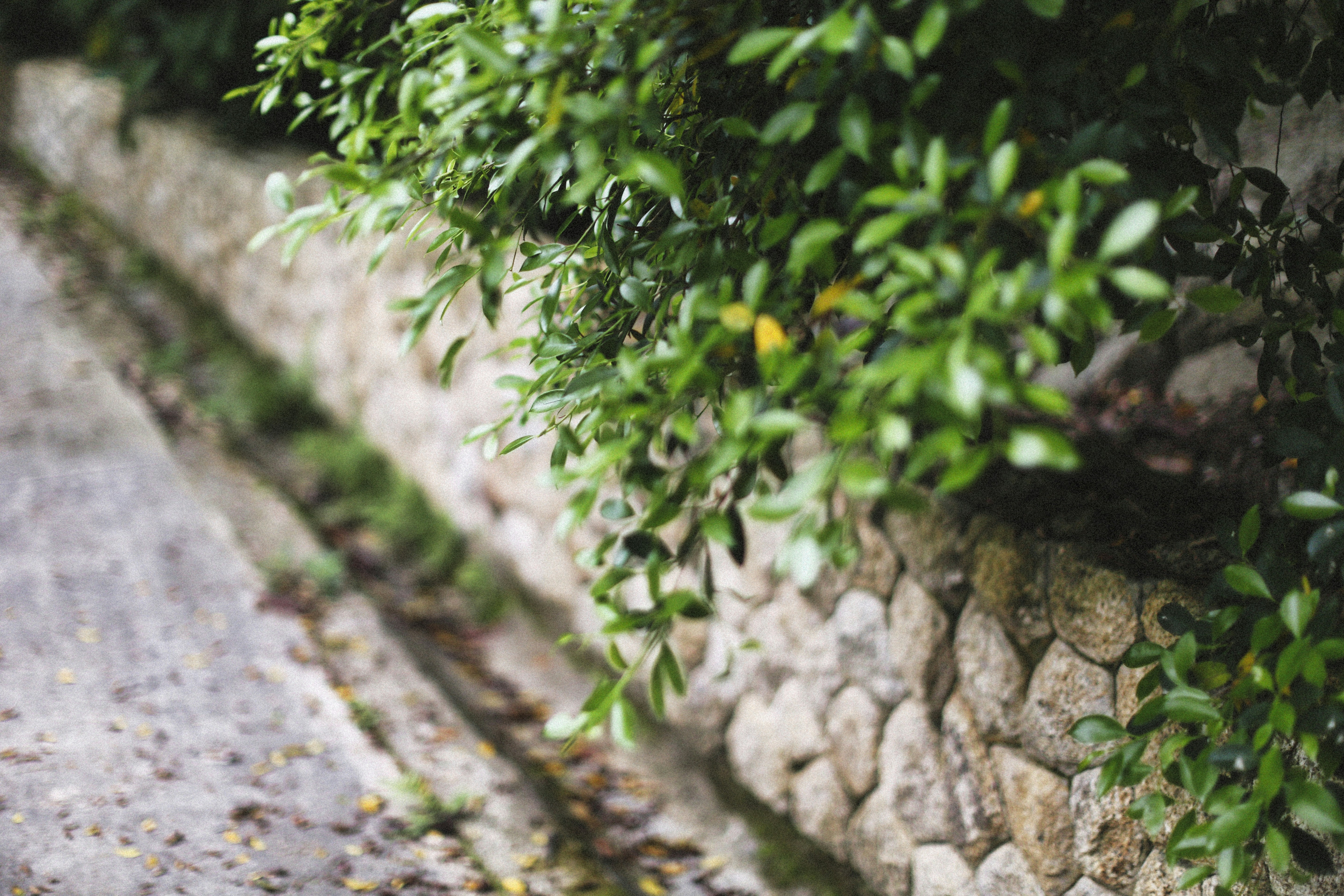 Photo by alexeydemidov