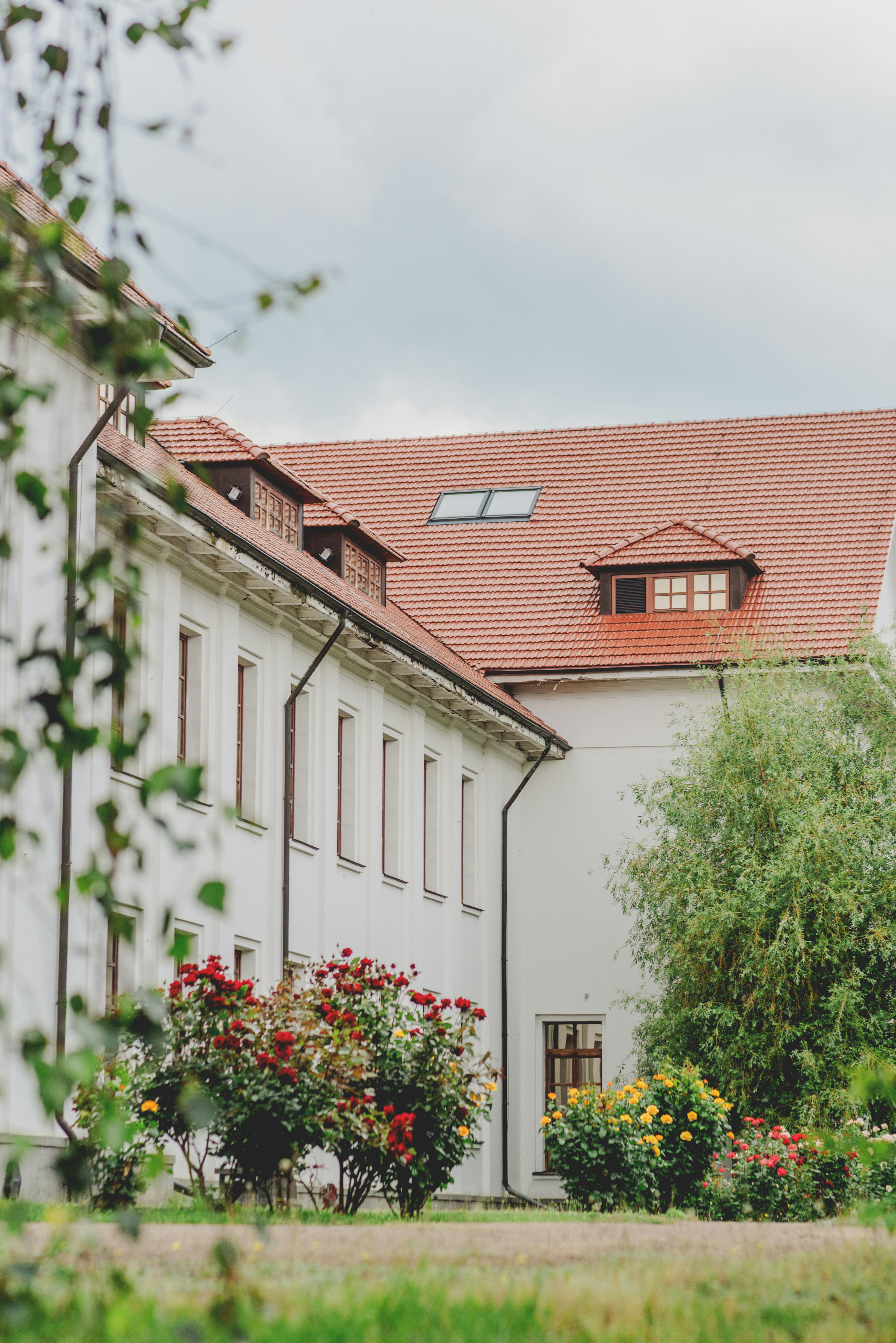 Photo by eugenivy_now