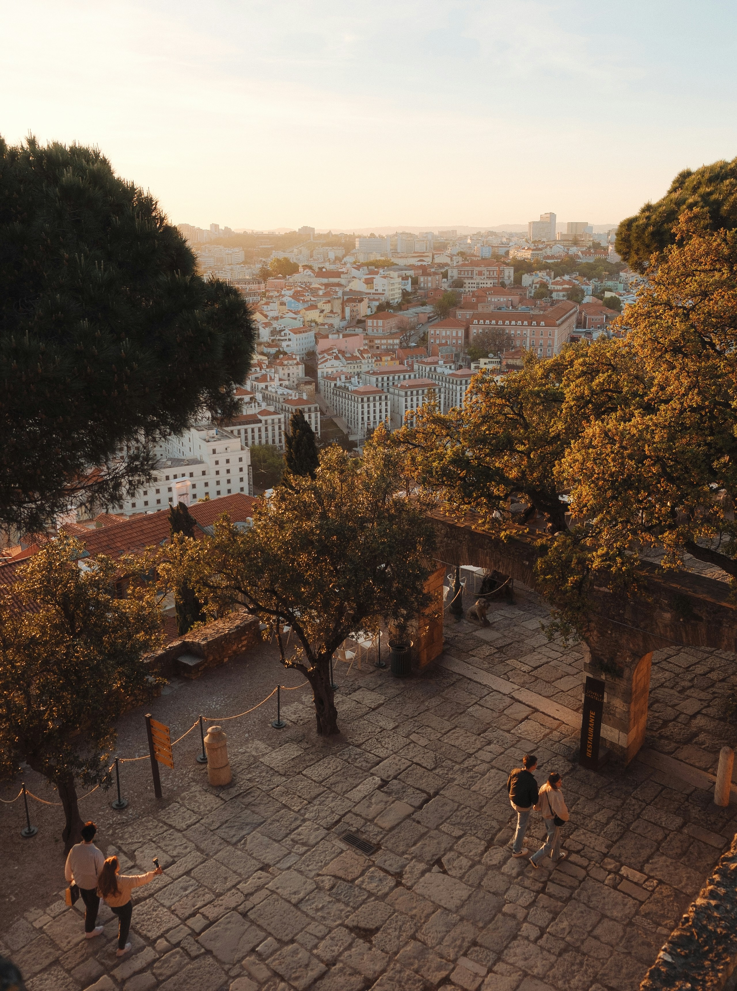 A scenic view of a city from above