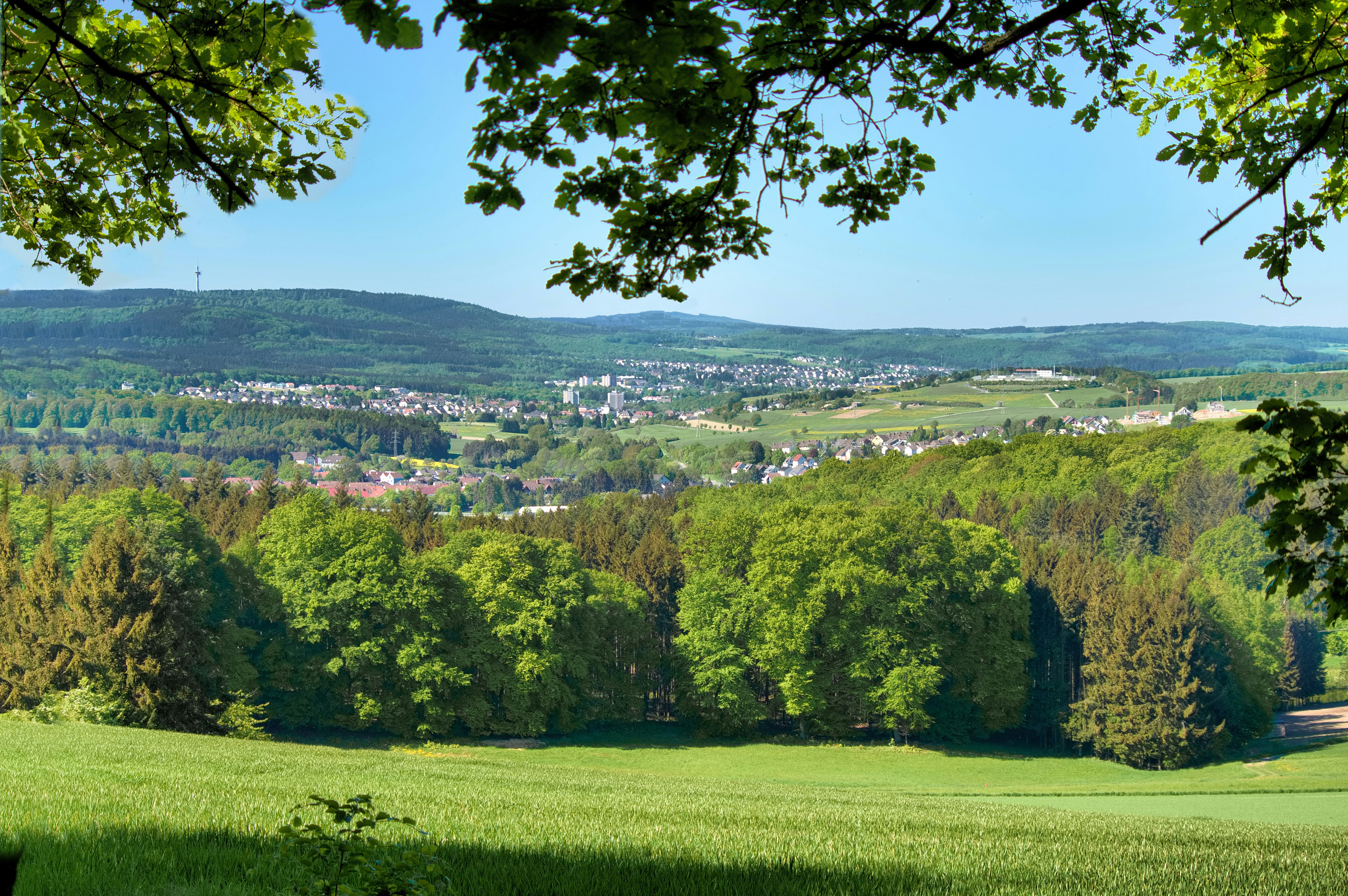 Scenic view of a town surrounded by lush greenery.