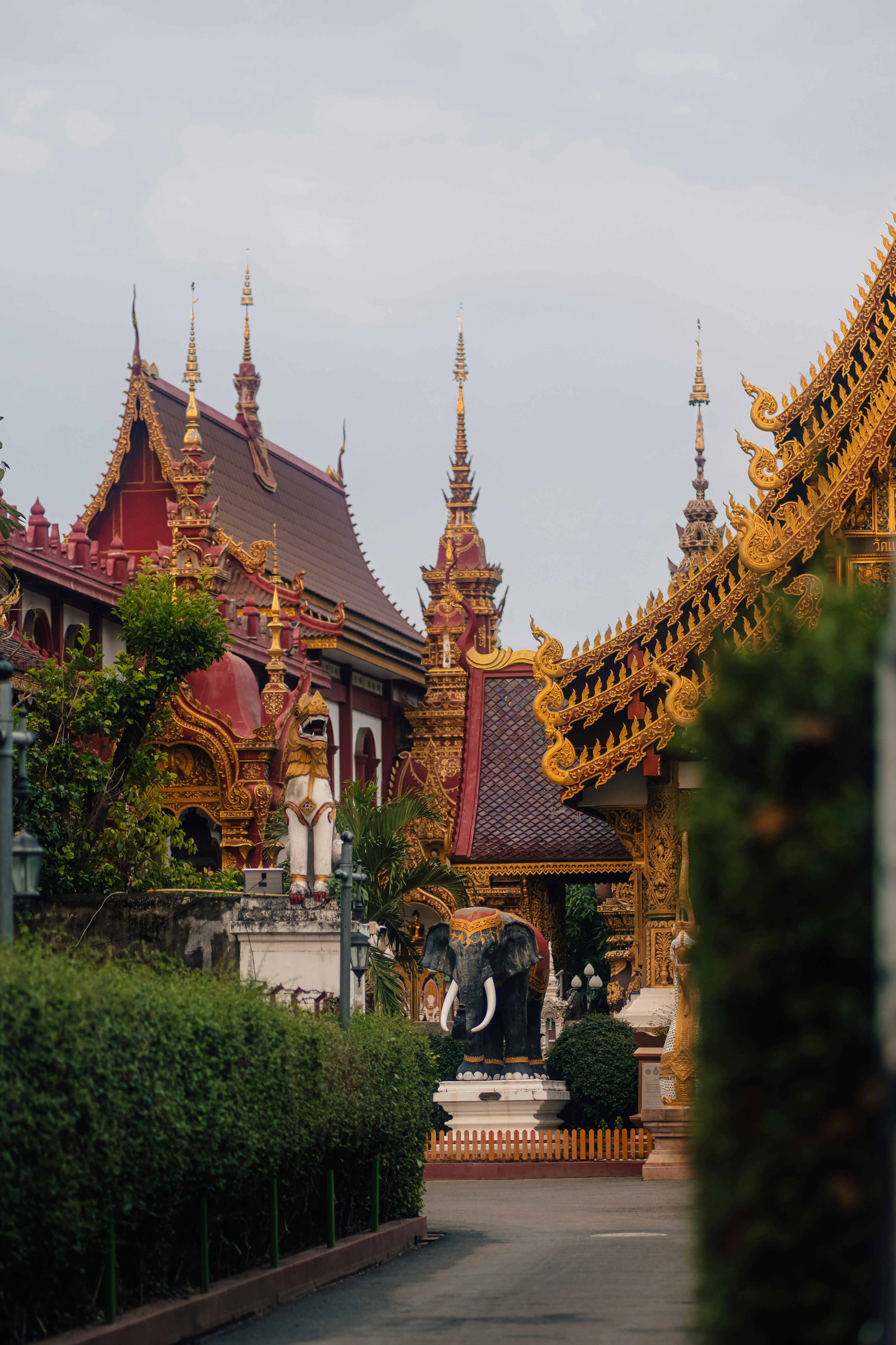 Photo by limamauro23