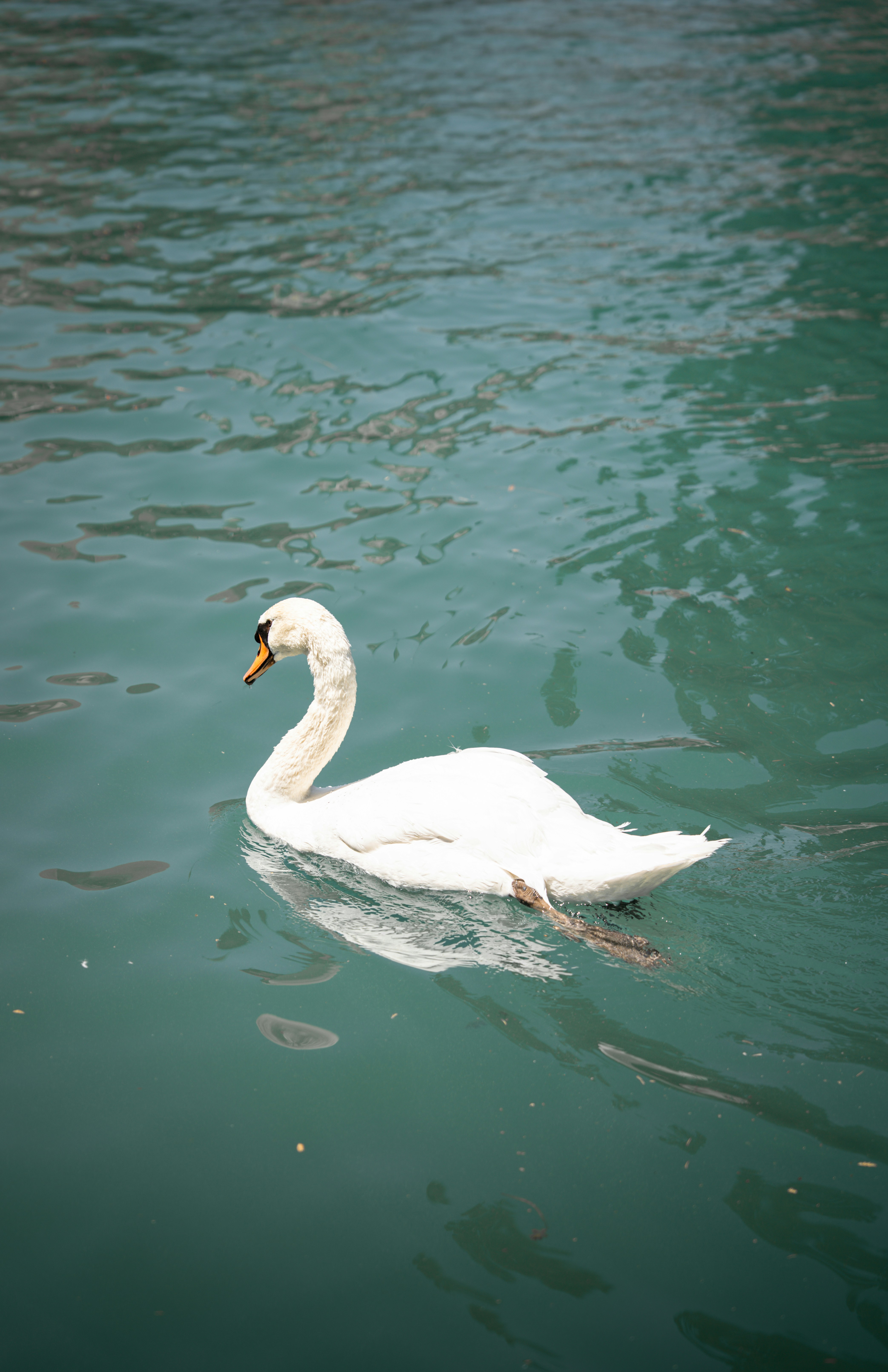 Photo by tlamtran_11