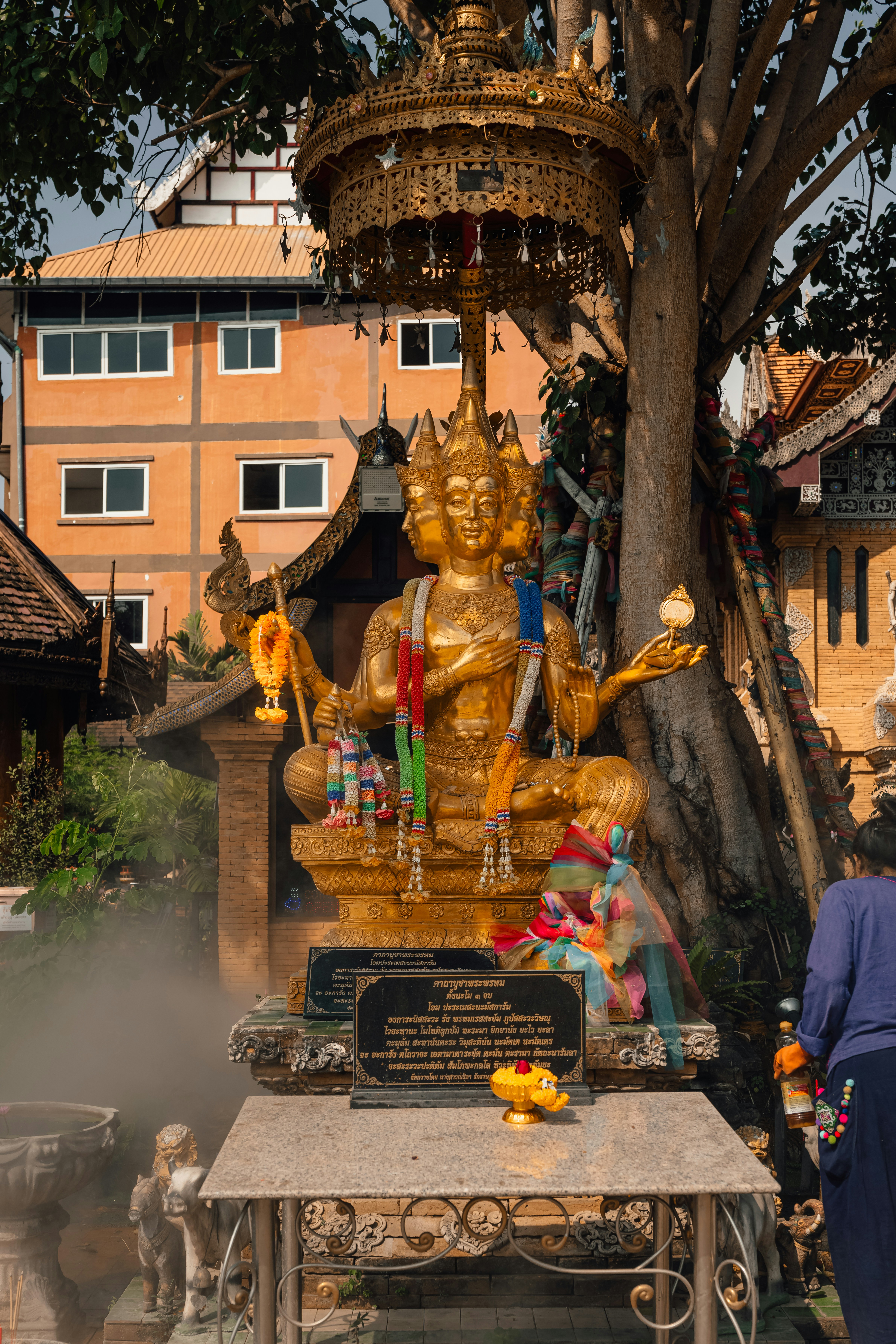 Photo by limamauro23