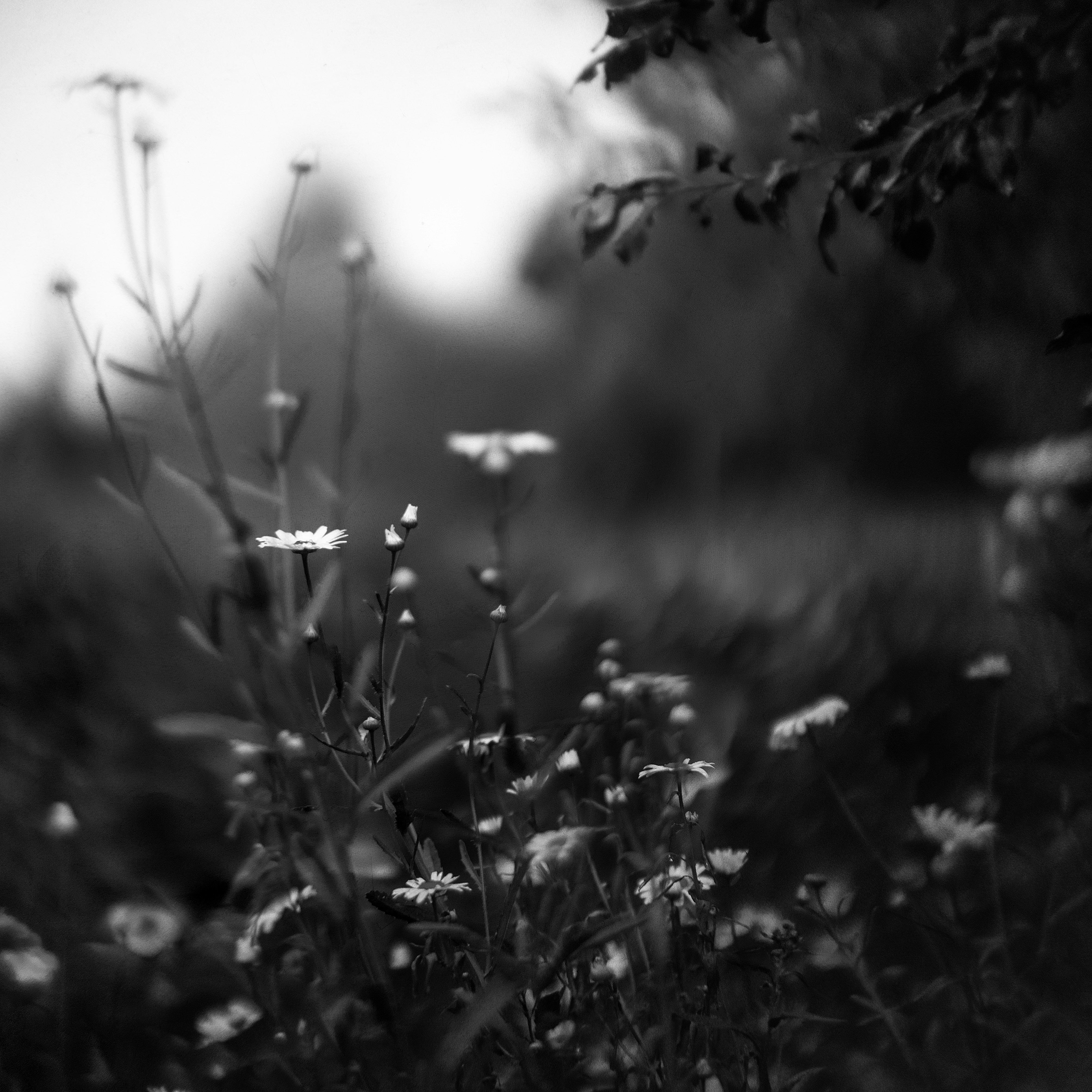 Photo by andrilliardbond