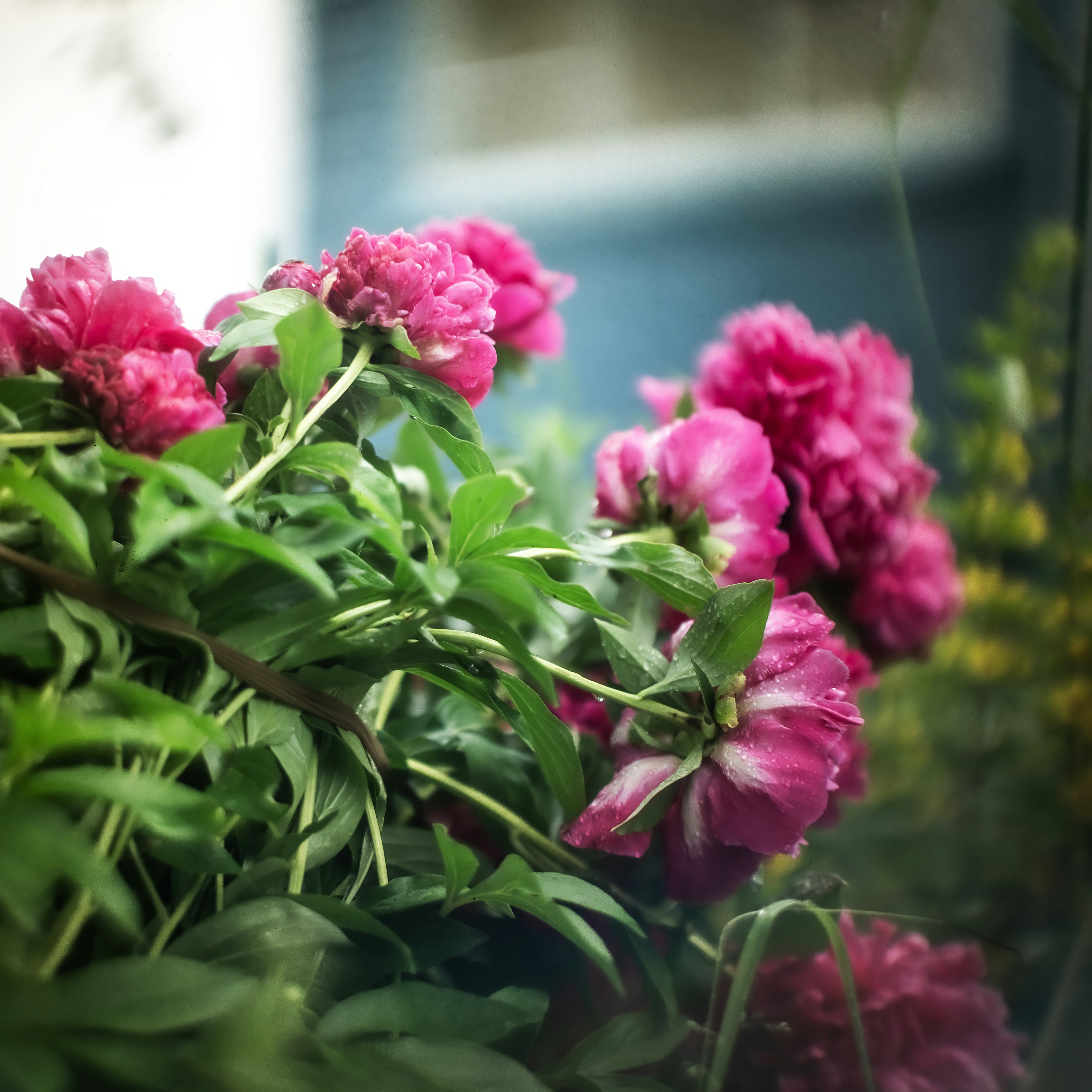 Photo by andrilliardbond