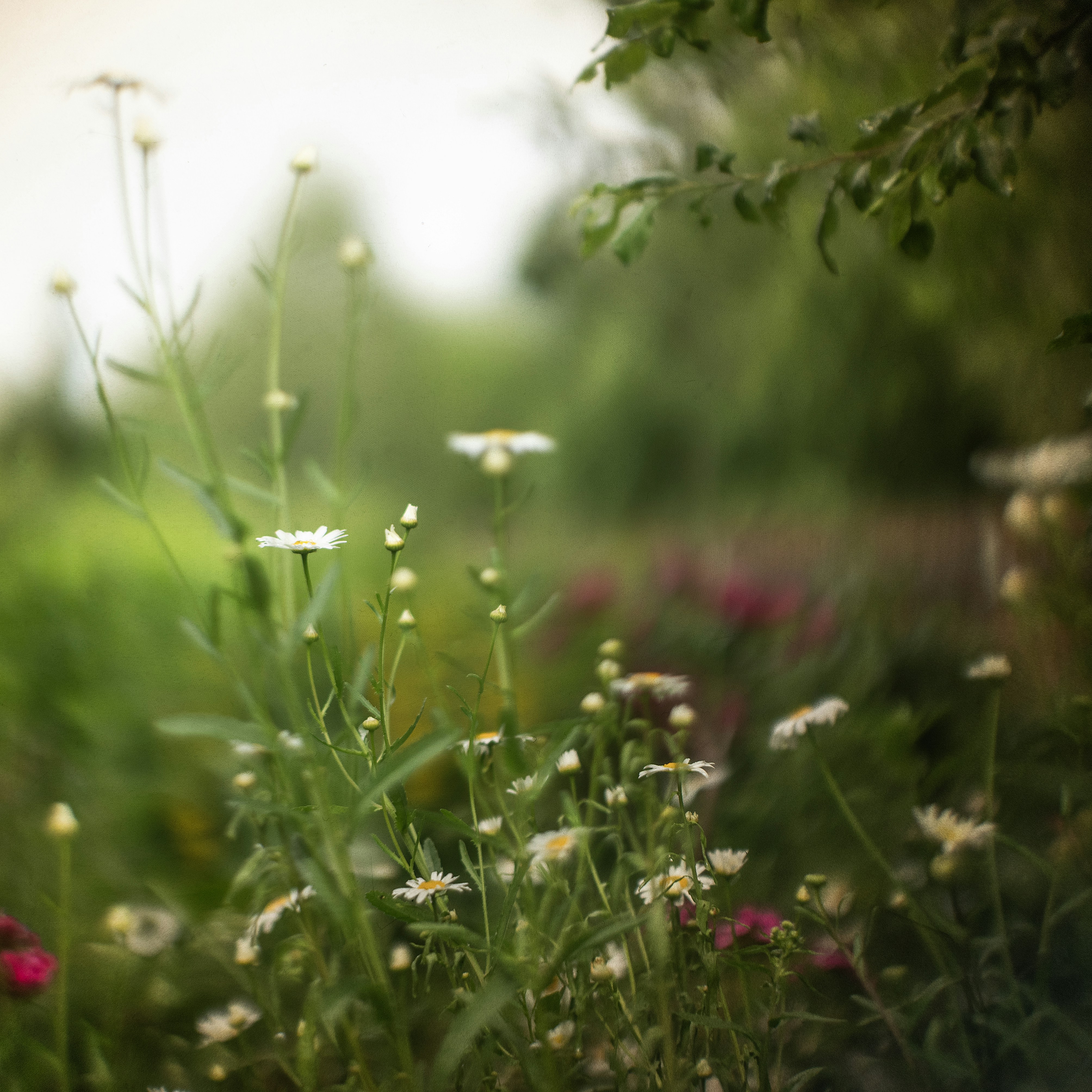 Photo by andrilliardbond