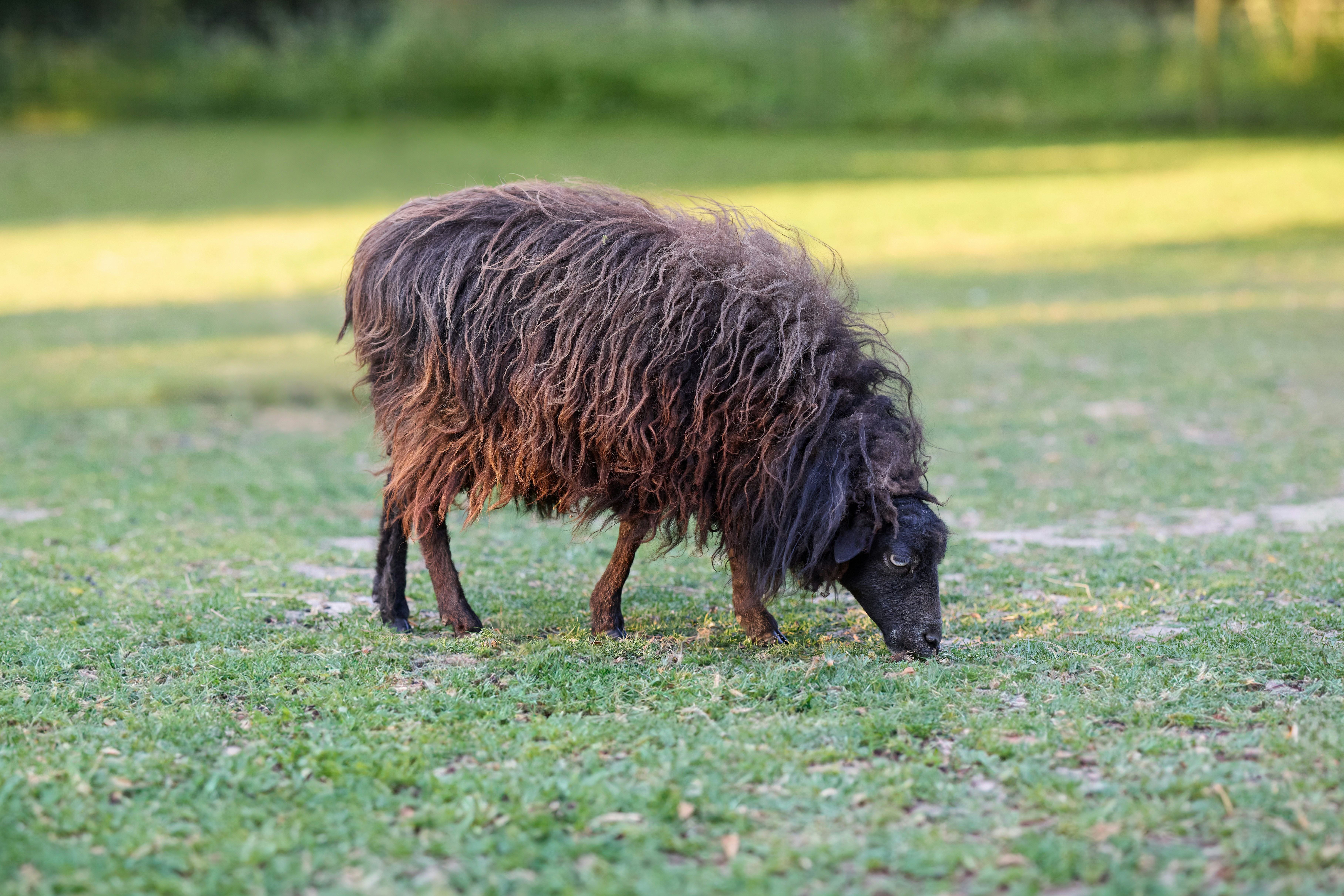 Photo by erwinbosman