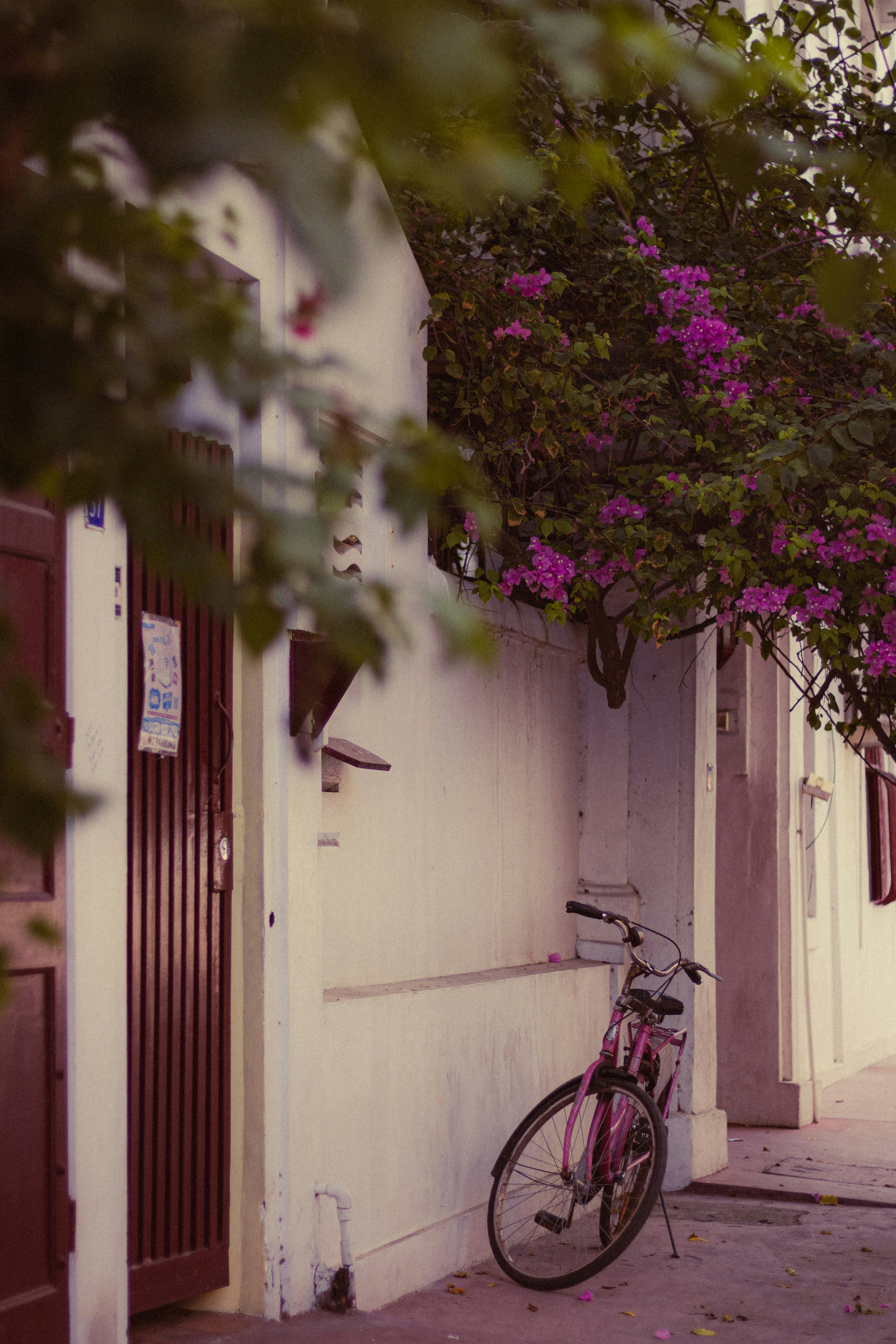 Photo by dhilipantony