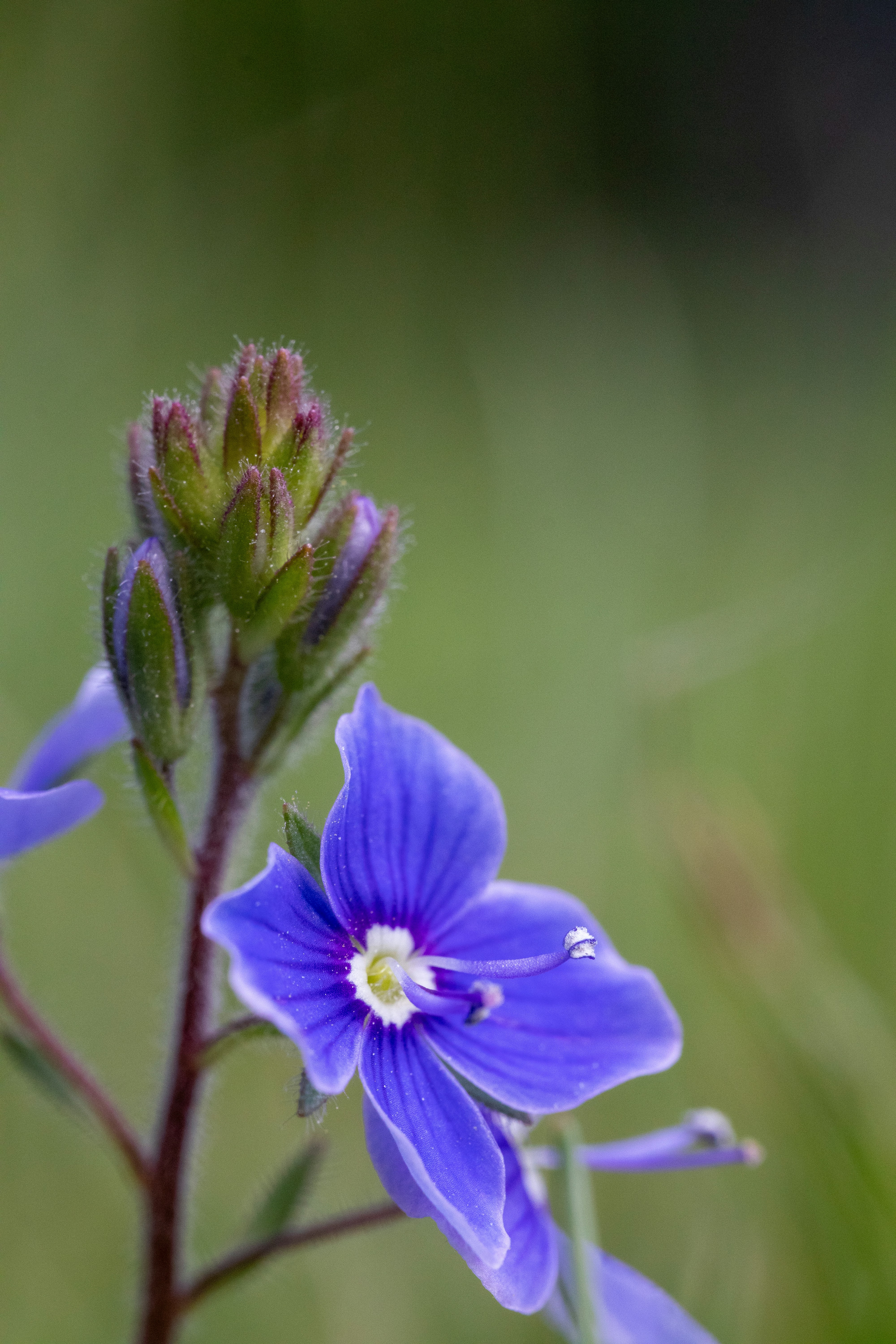 Photo by mantas_photos