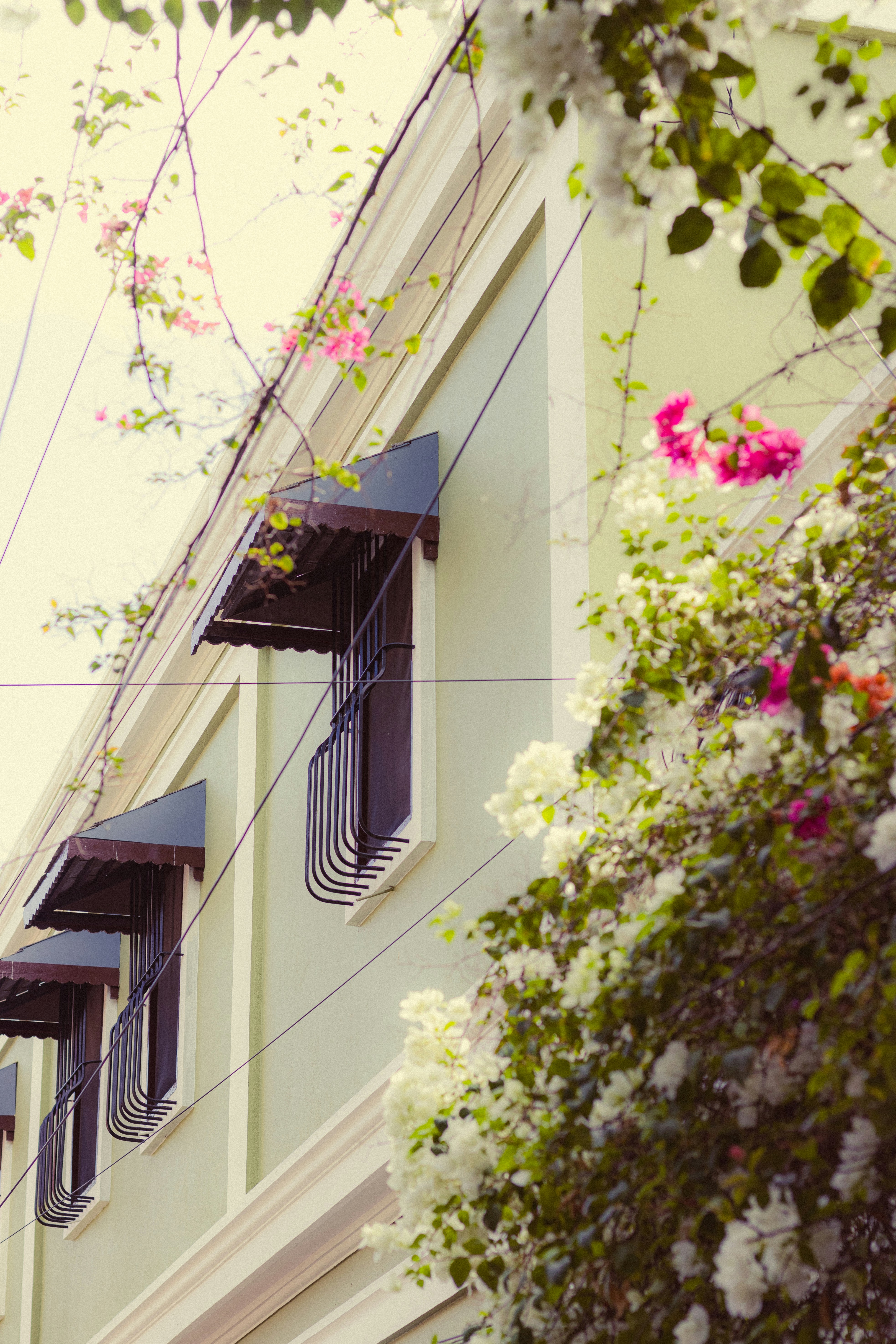 Photo by dhilipantony