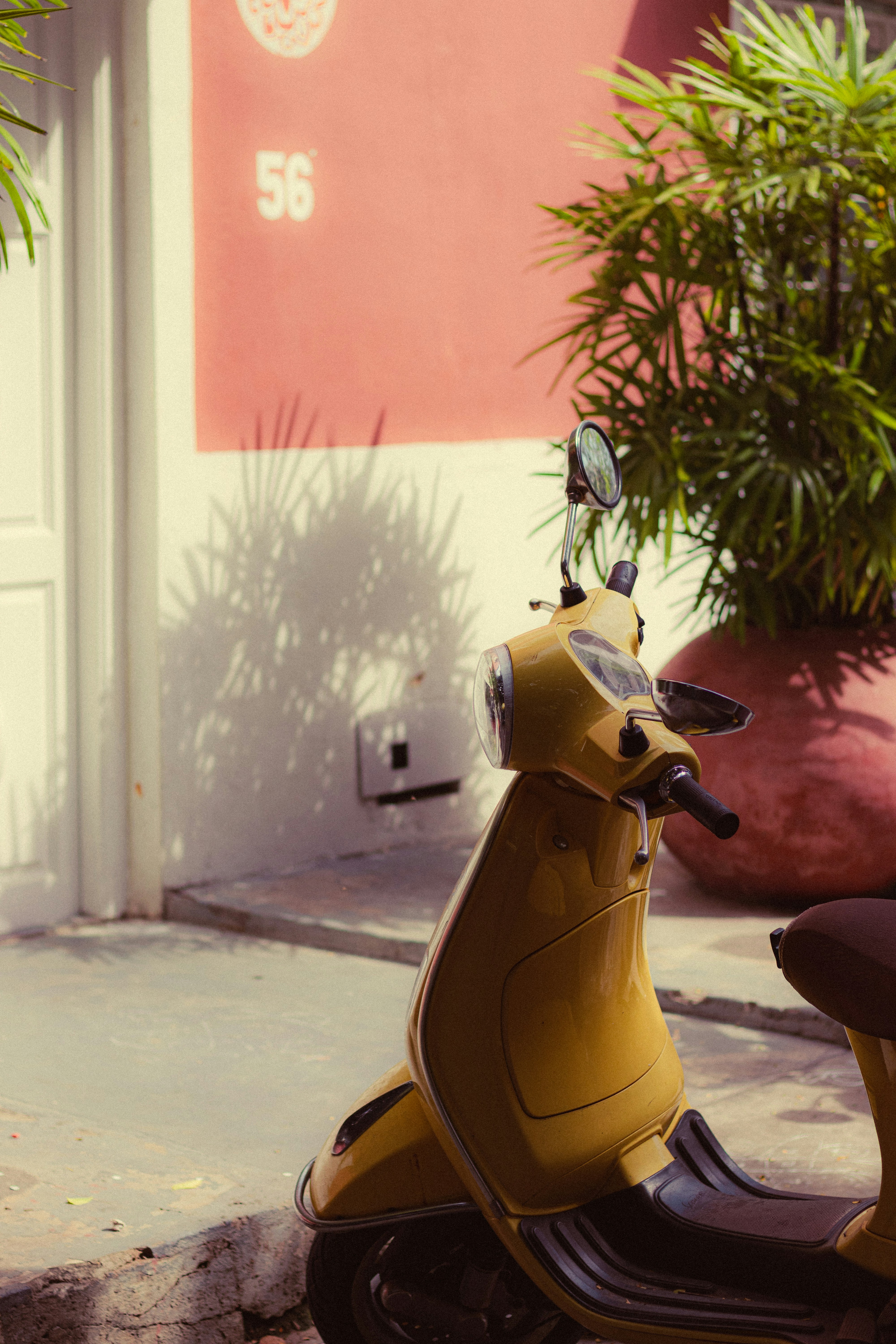 Bugün öğrendim ki: Tom ve Jerry'nin asıl...