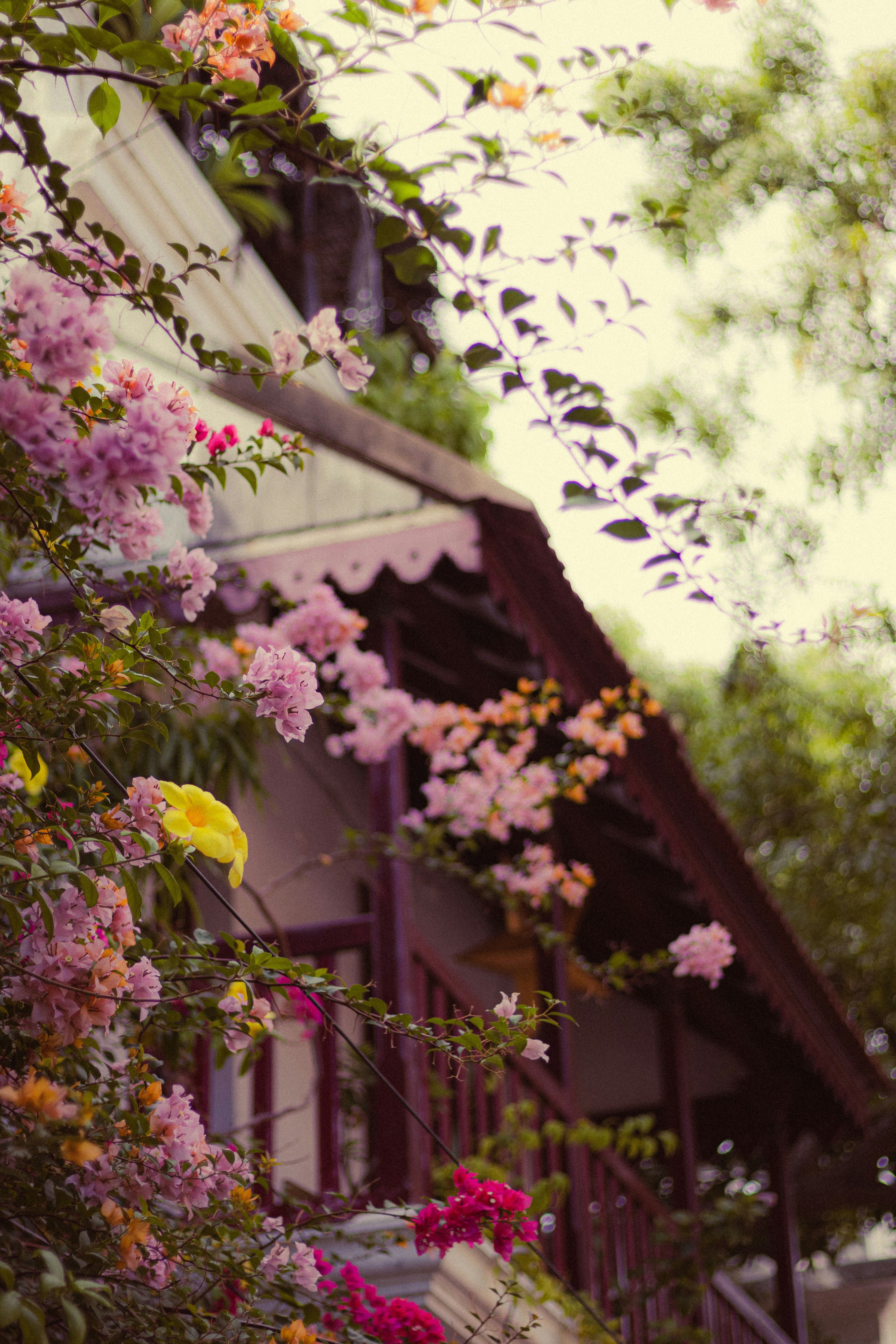 Photo by dhilipantony