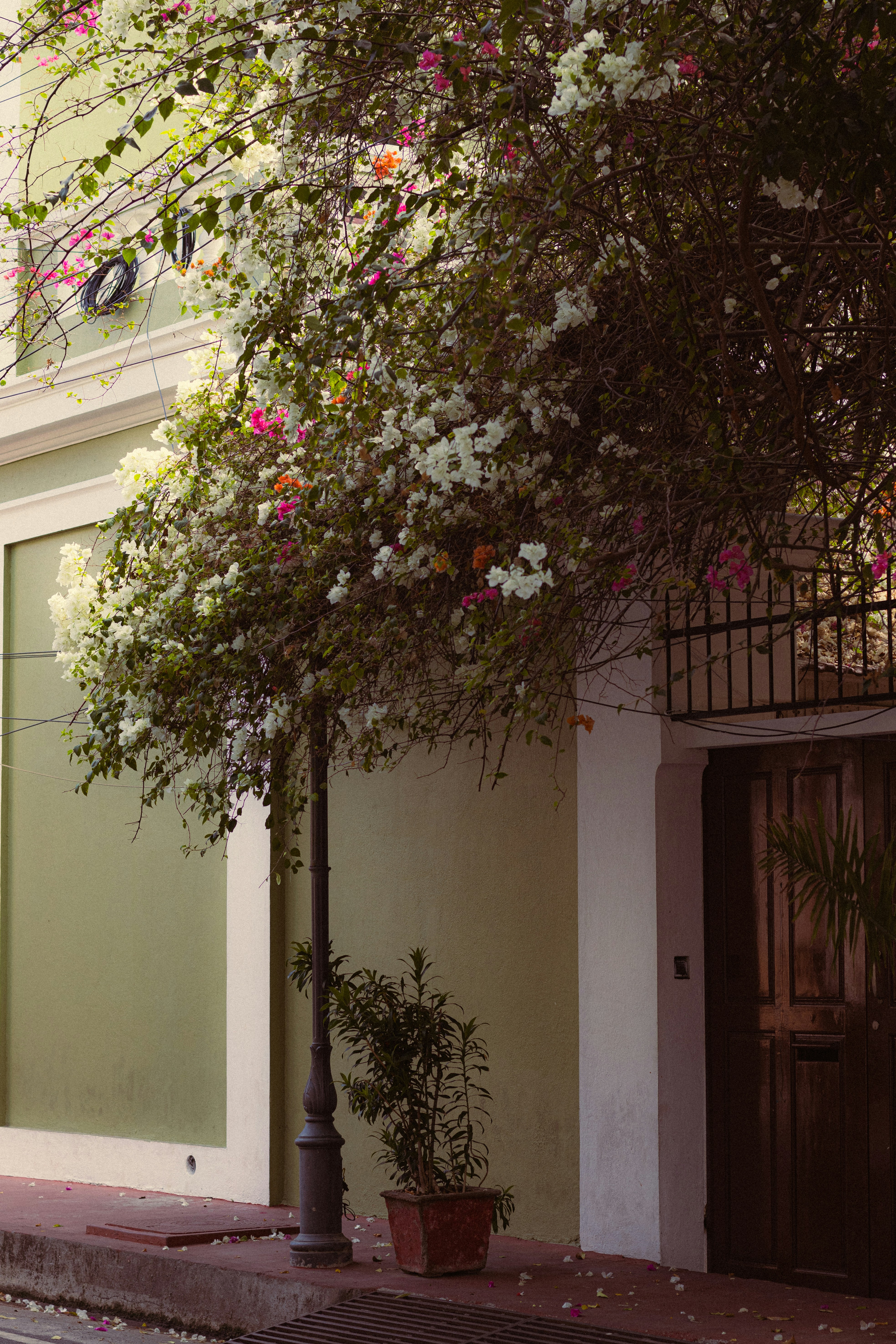 Photo by dhilipantony