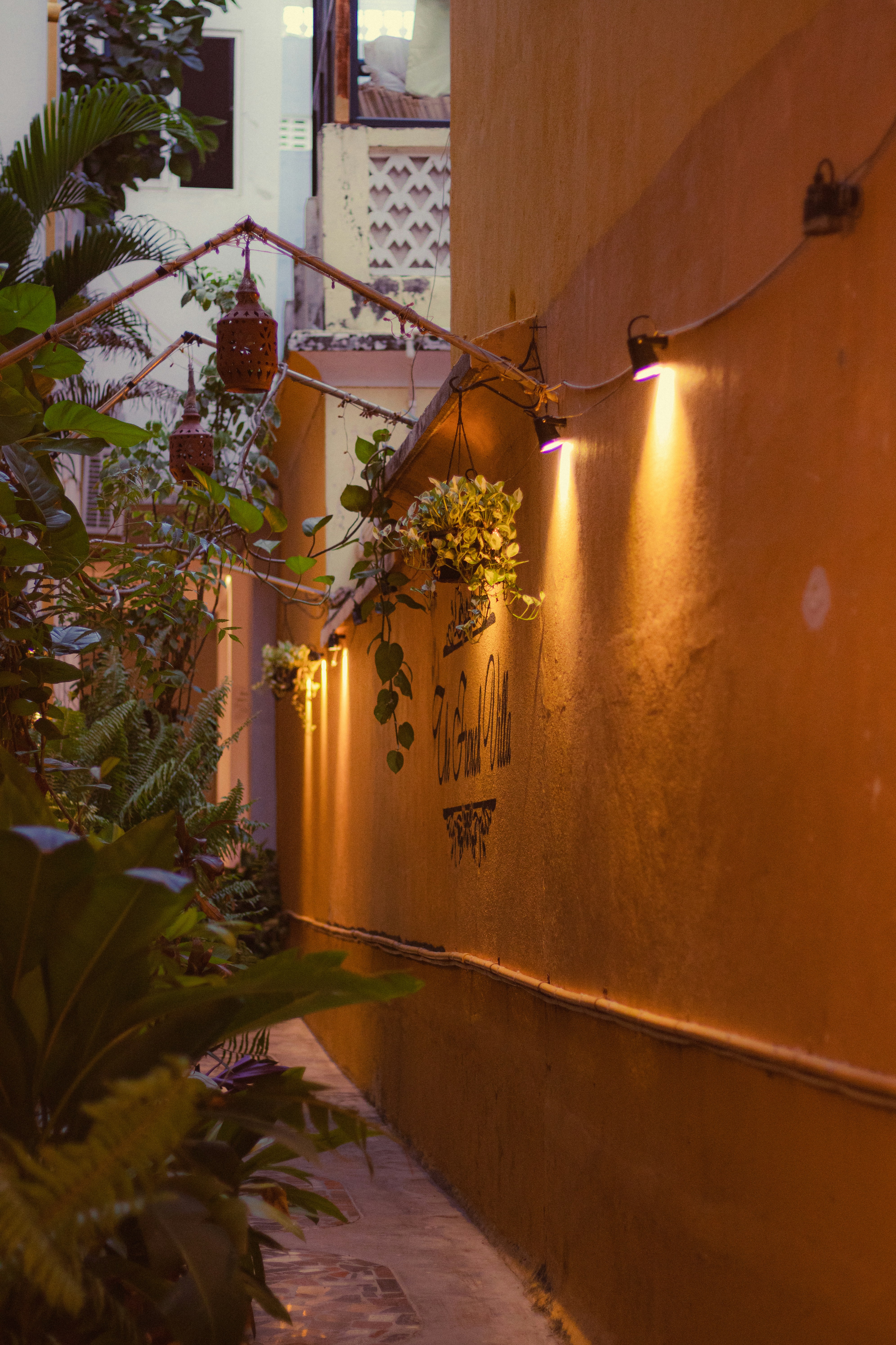 Photo by dhilipantony