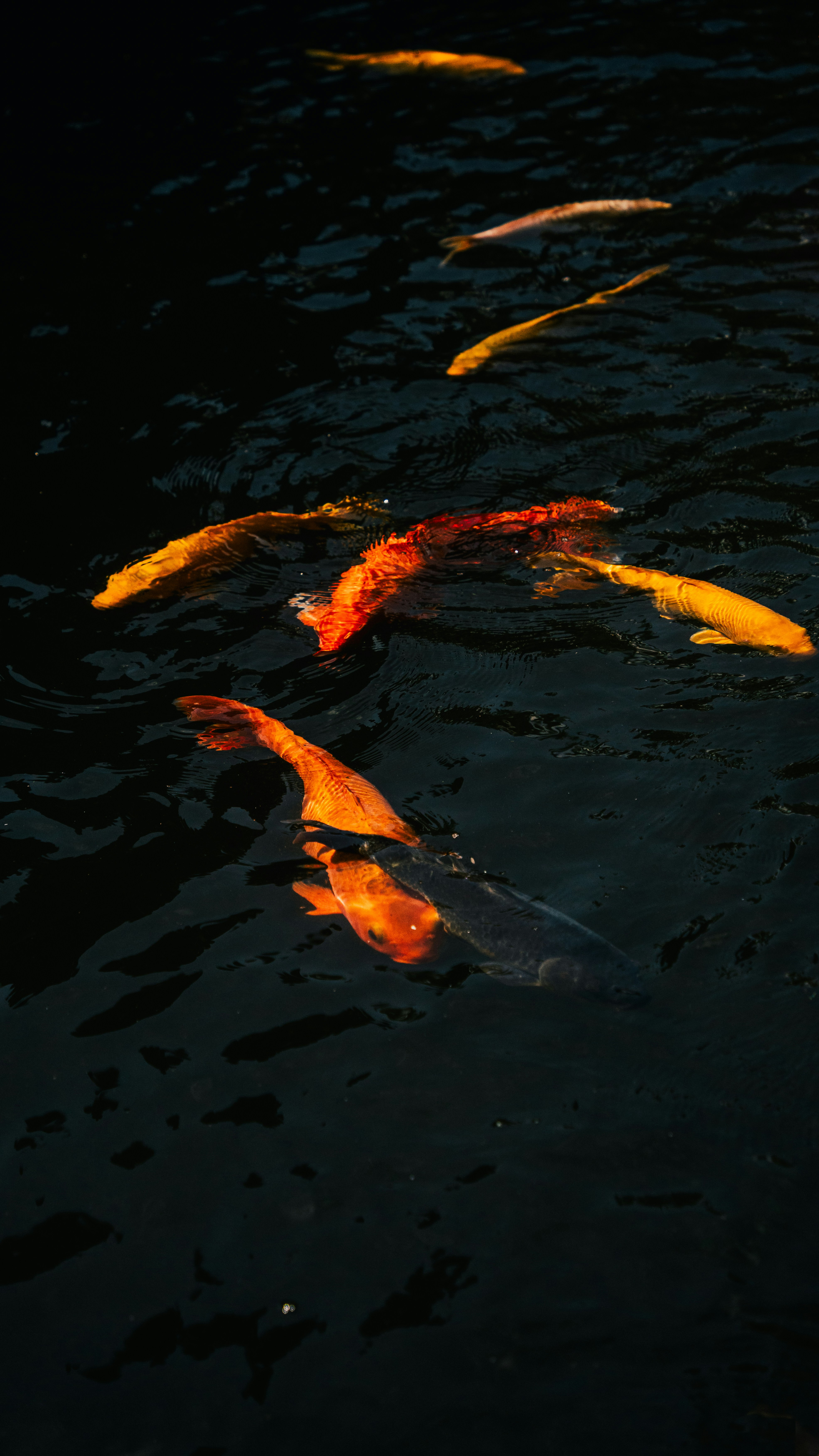 Photo by nimisha_mekala