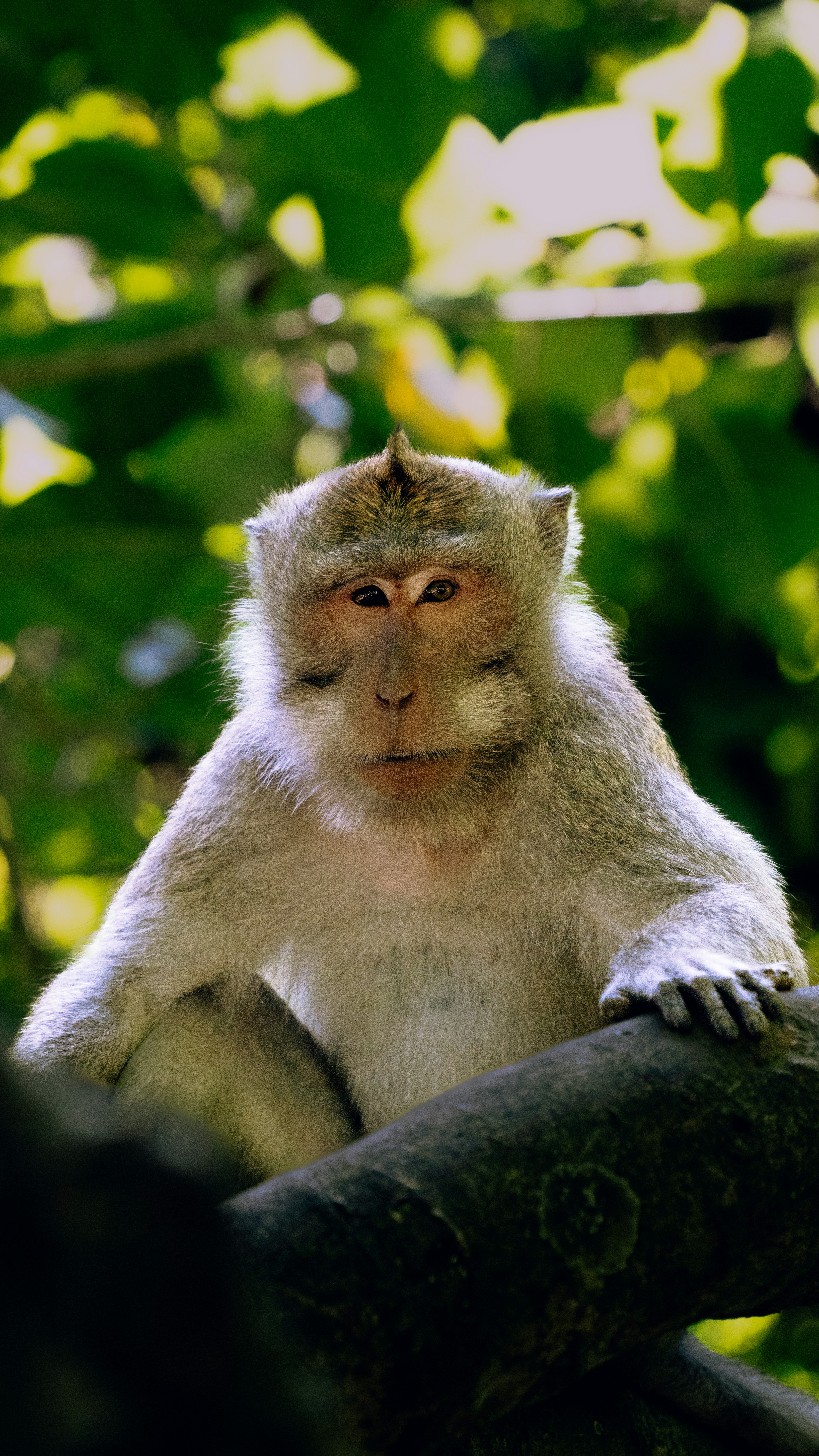 Photo by nimisha_mekala