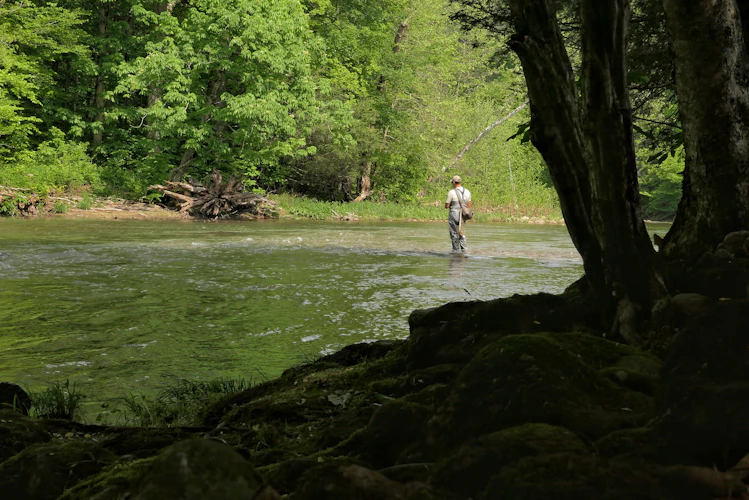 fly fisherman wading a tailwater river