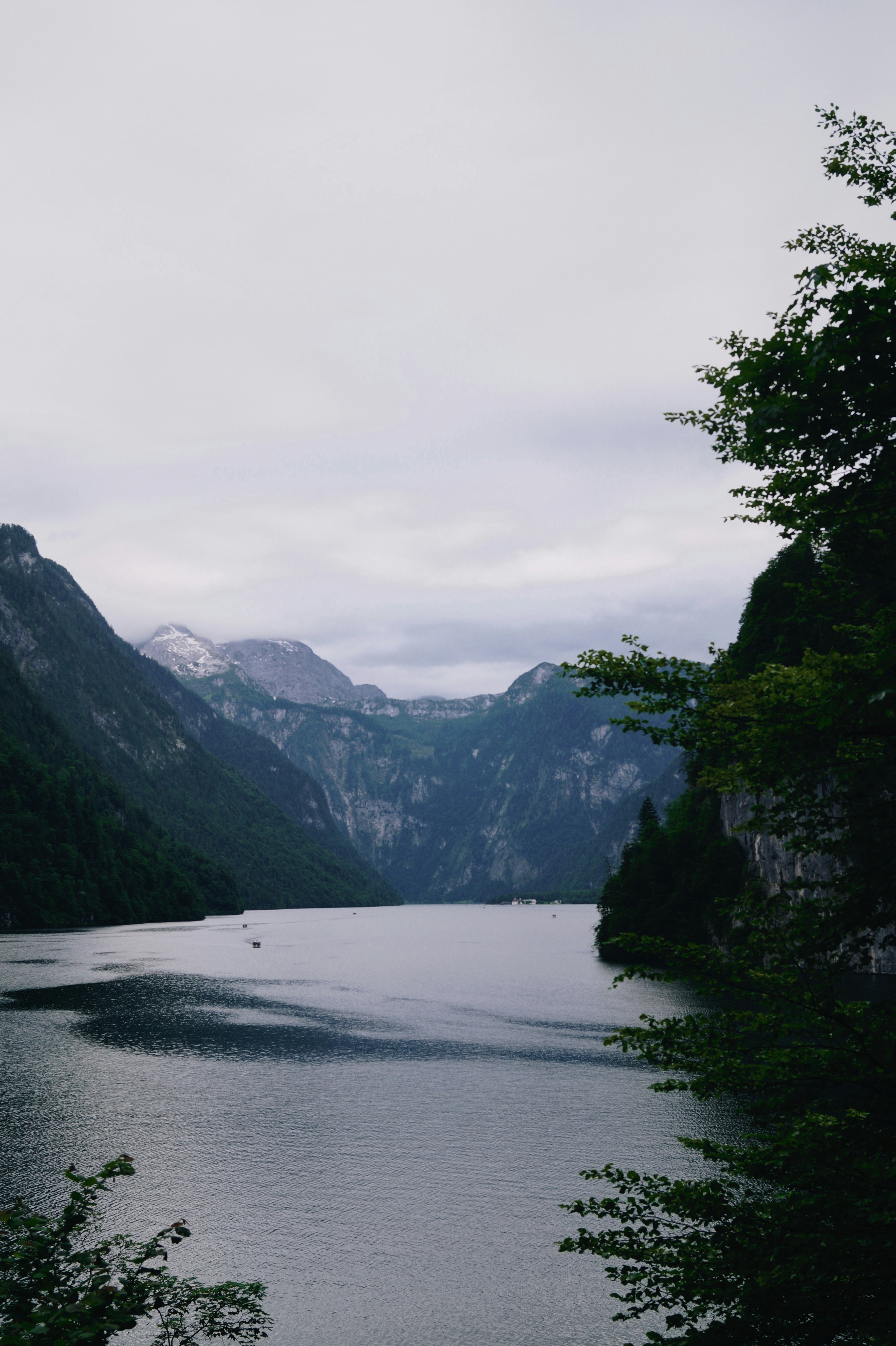 Photo by alliedowling