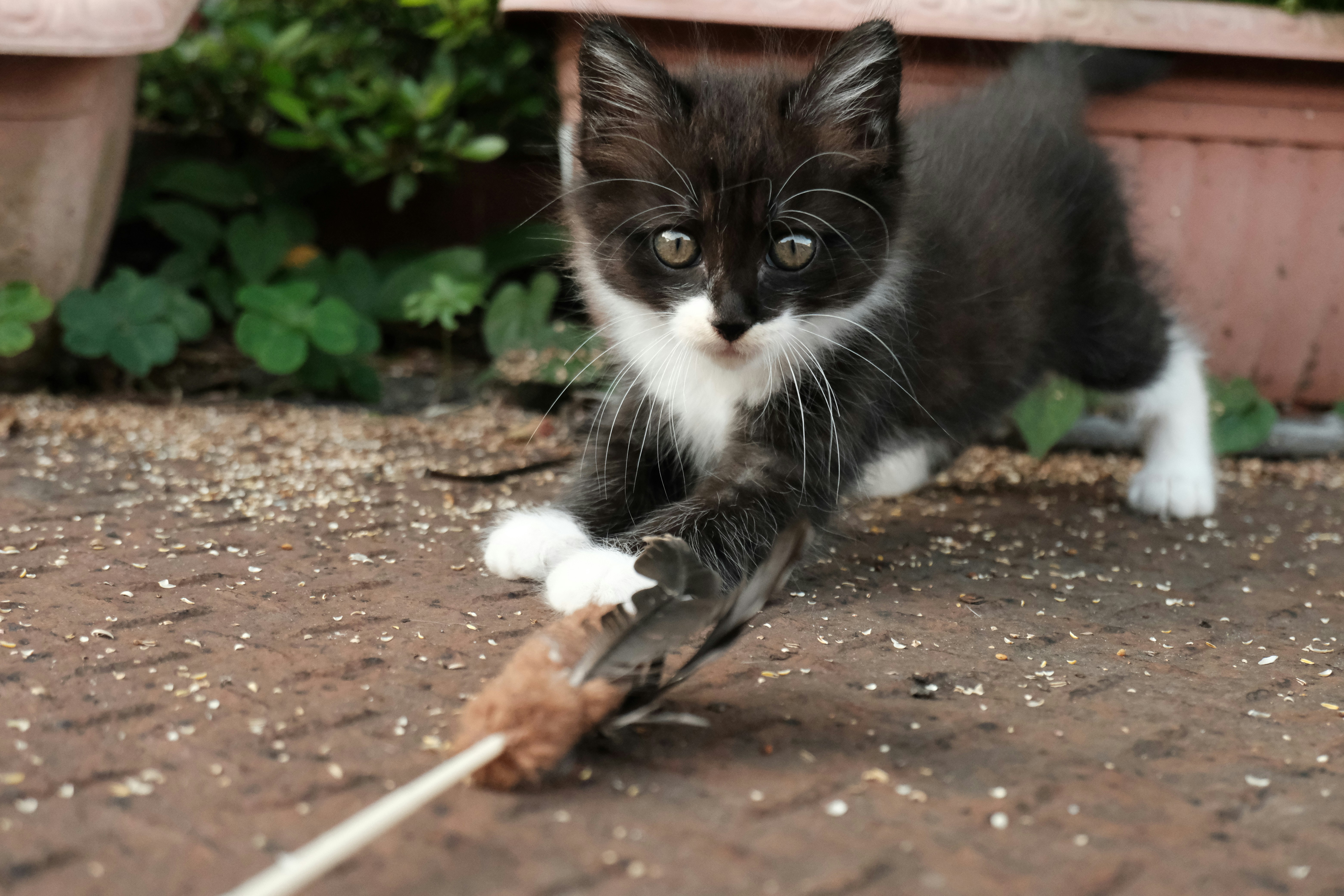 The Stress Response Calibration (image credits: unsplash)