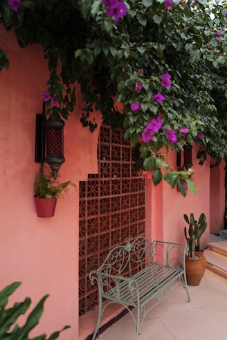 Pretty wall with flowers and bench.