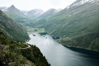 A lush fjord winds between majestic, snow-capped mountains.