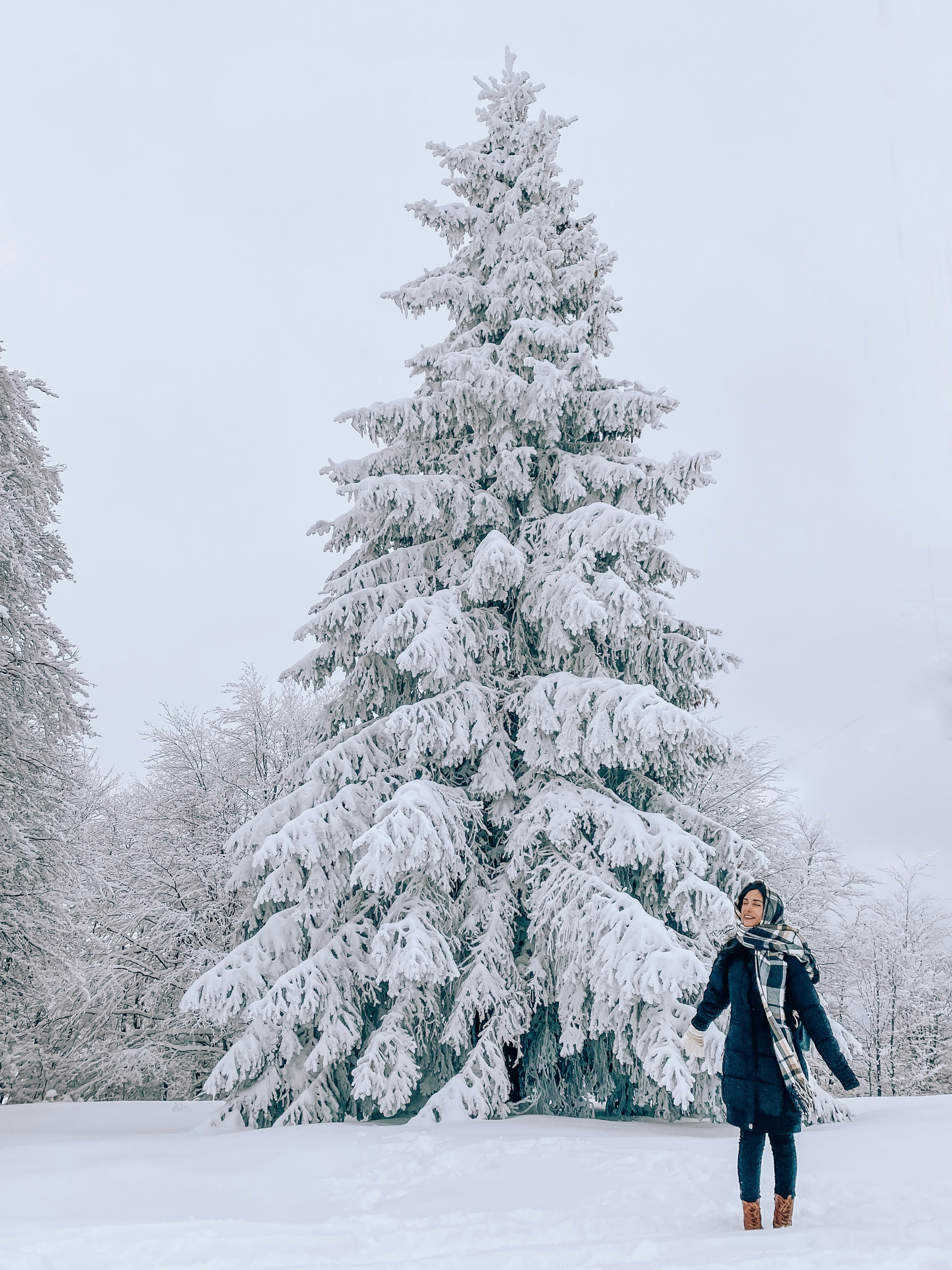 Woman stands in snow-covered forest by a huge tree.
