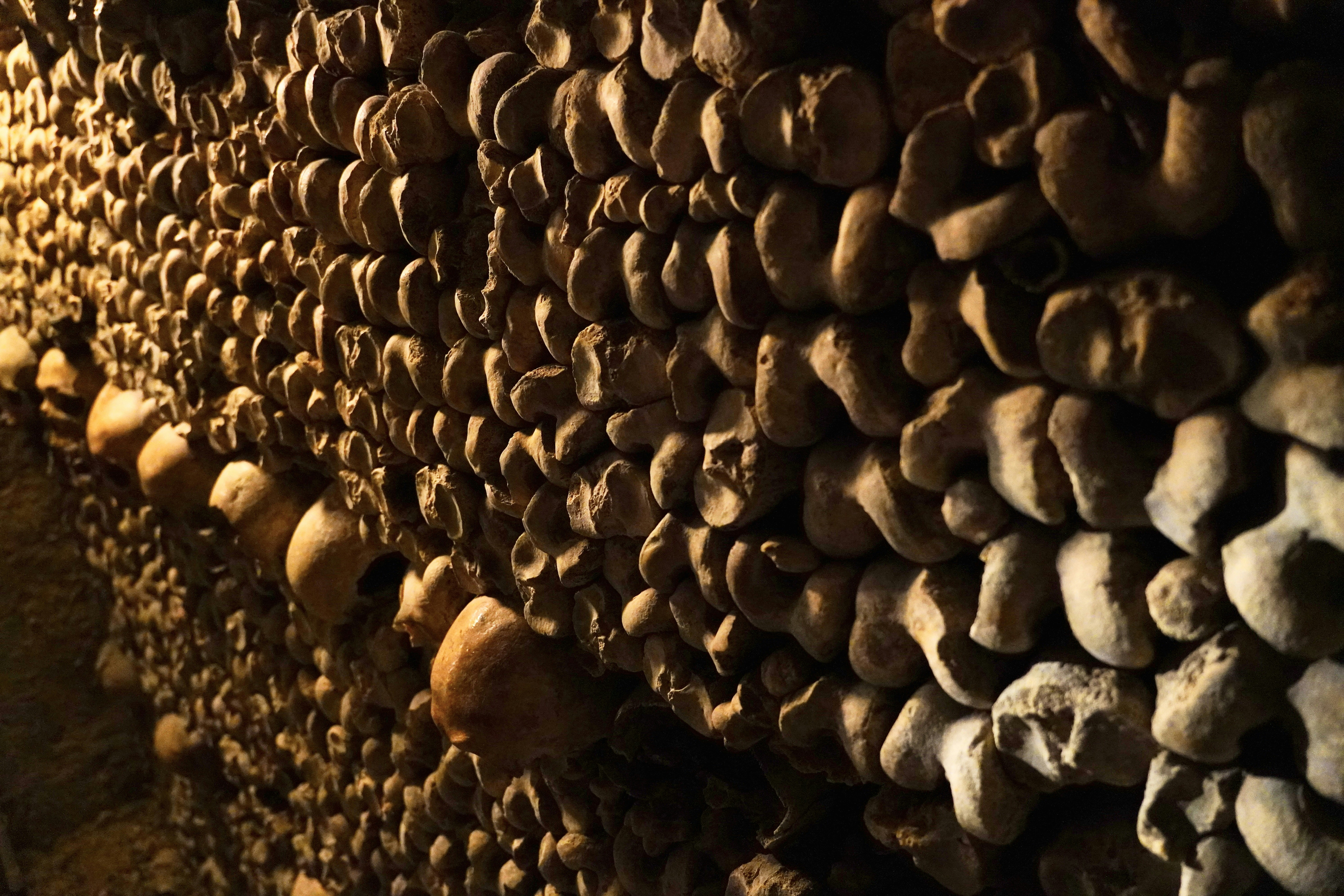 Photo by brettwharton