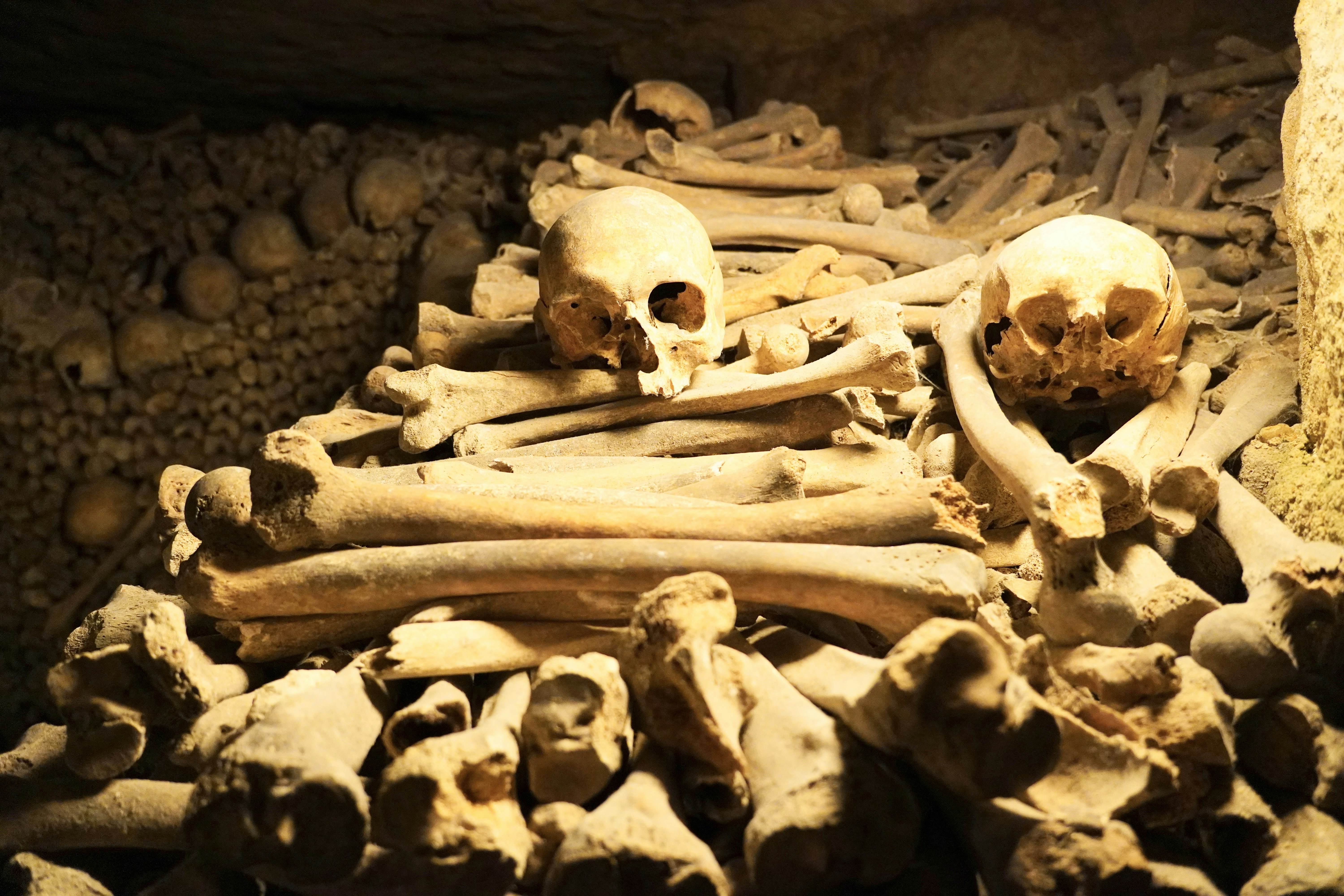 Capuchin Catacombs