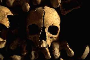 A skull and bones pile in a dark place.