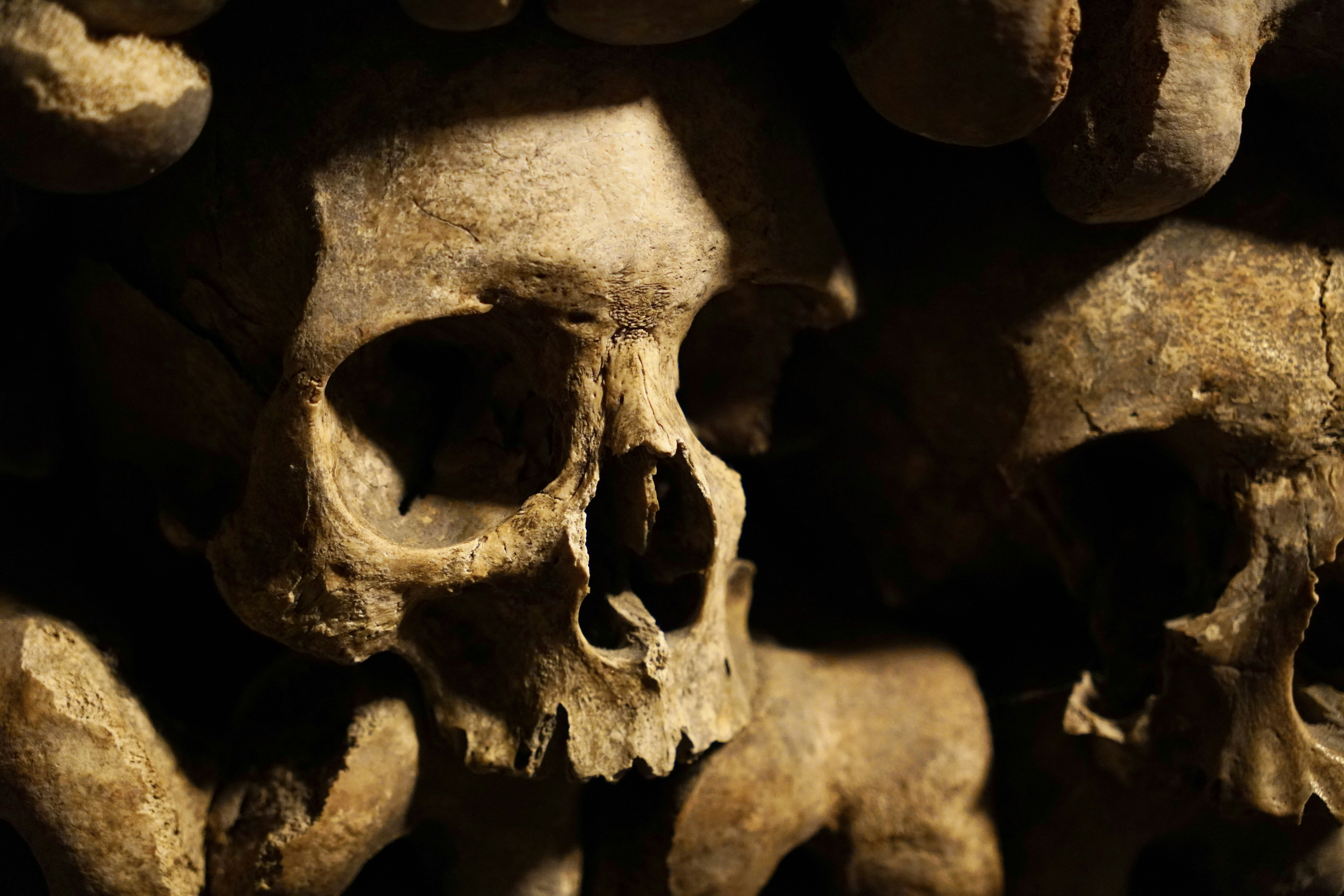 Photo by brettwharton