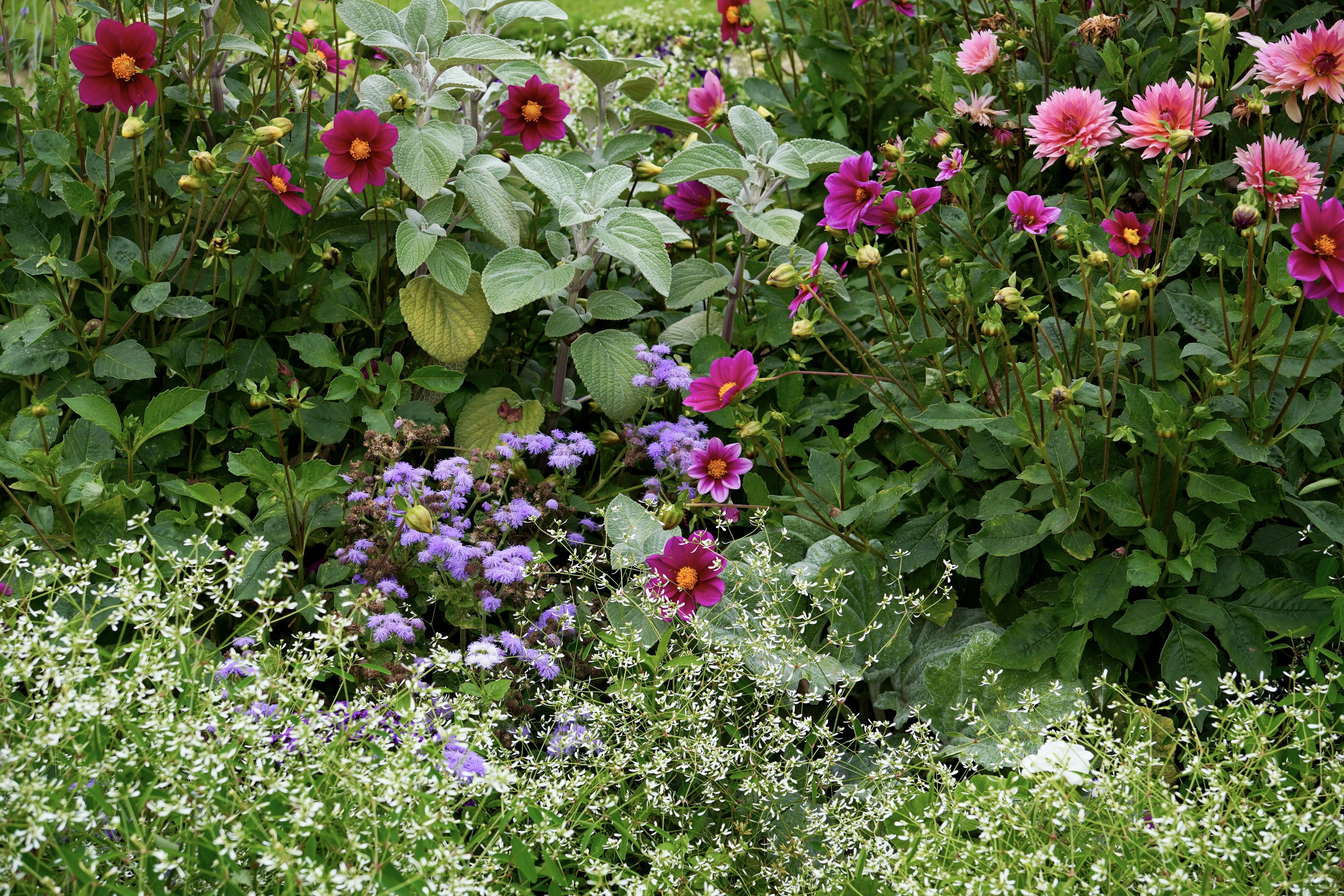 Photo by brettwharton