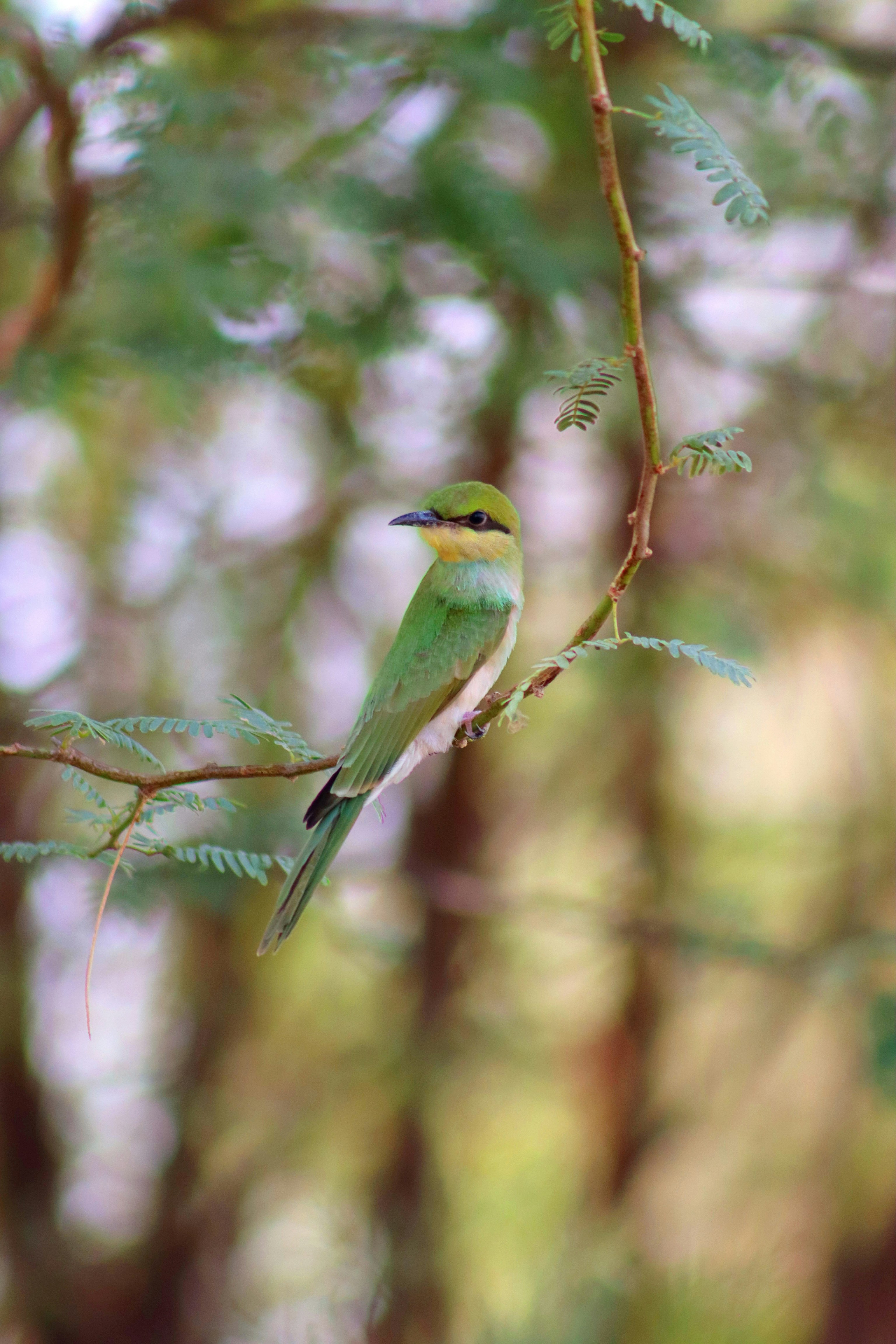 Photo by drphotographer152