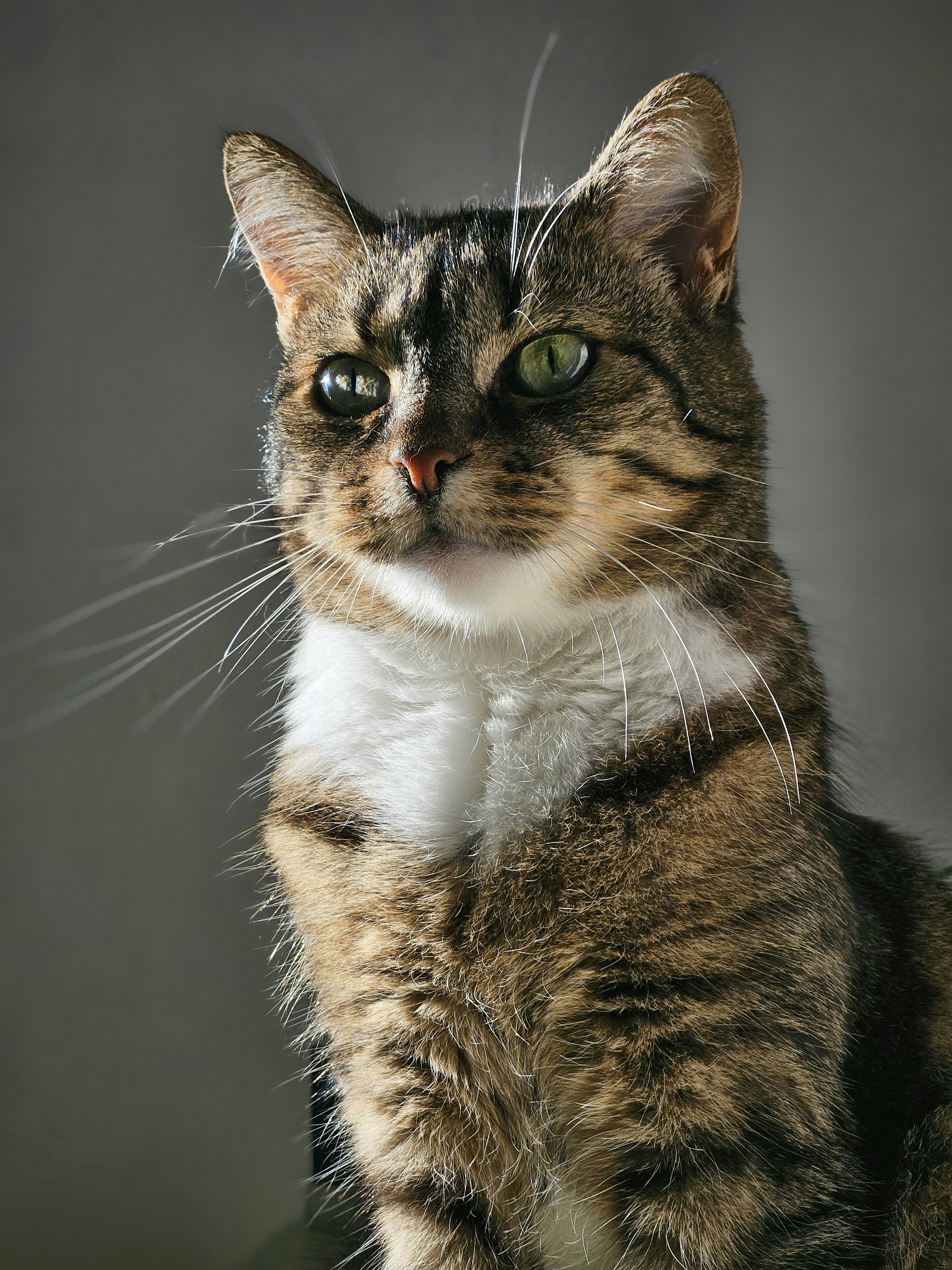 Photo by marjorylucabaxter