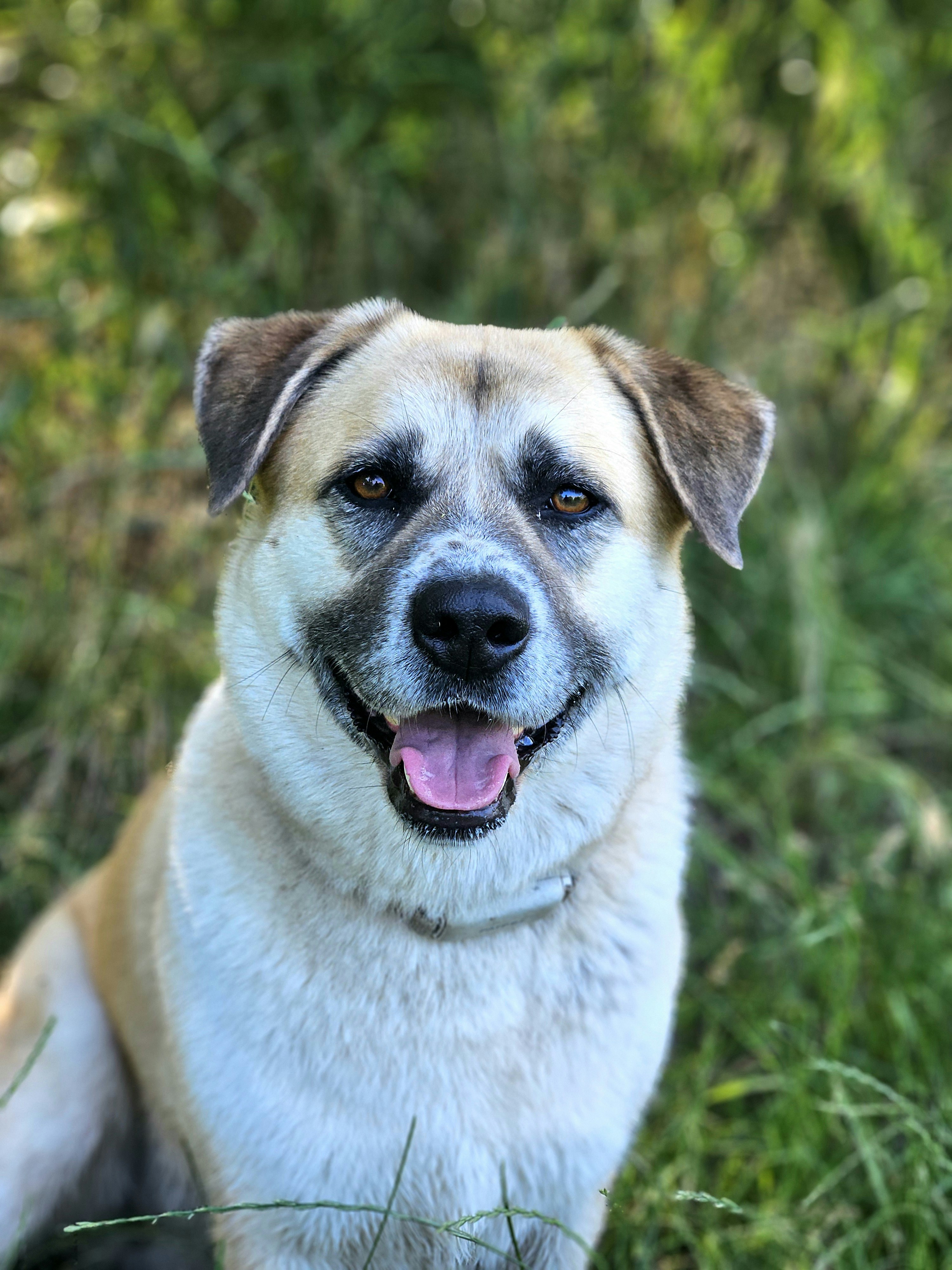 Photo by marjorylucabaxter