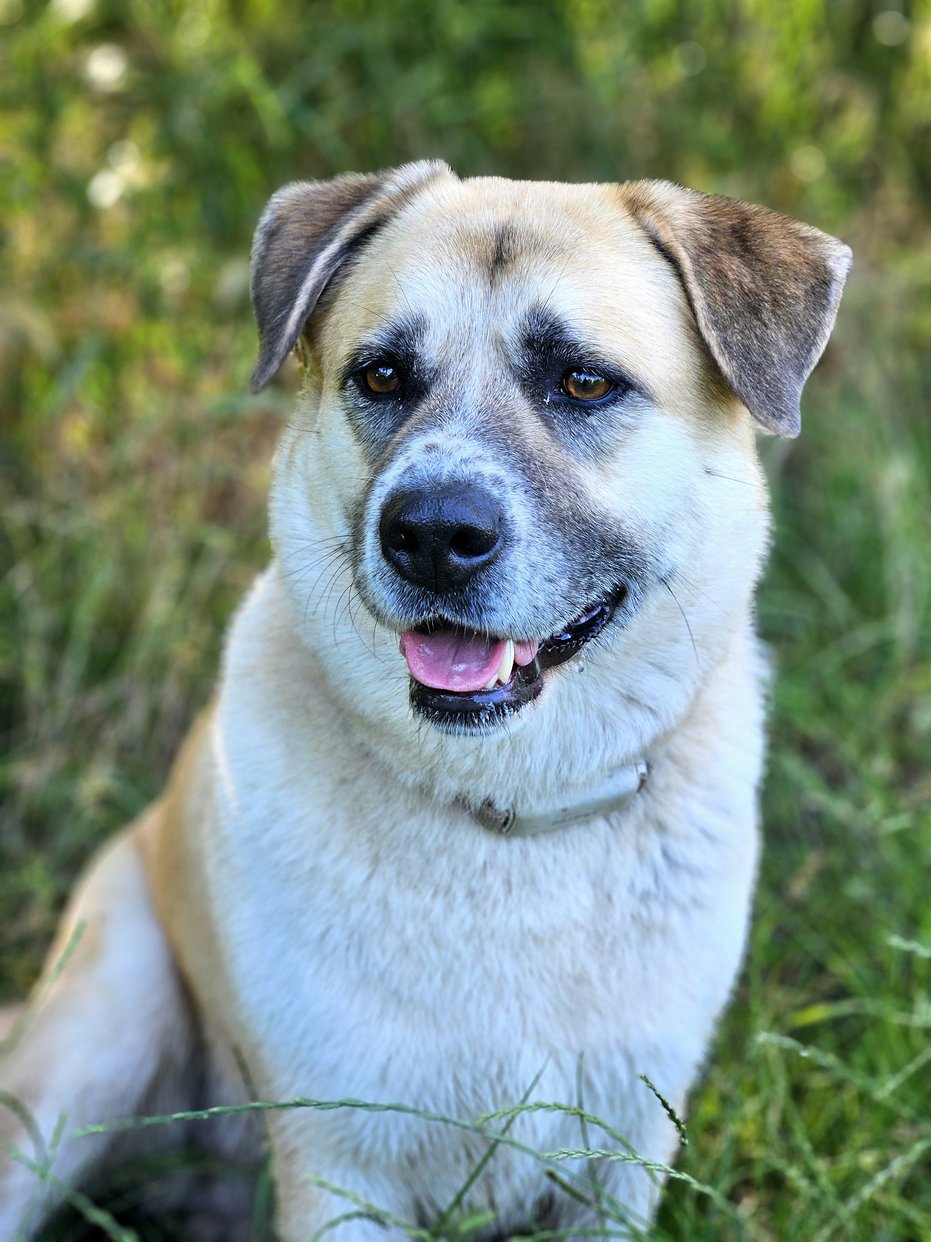 Photo by marjorylucabaxter