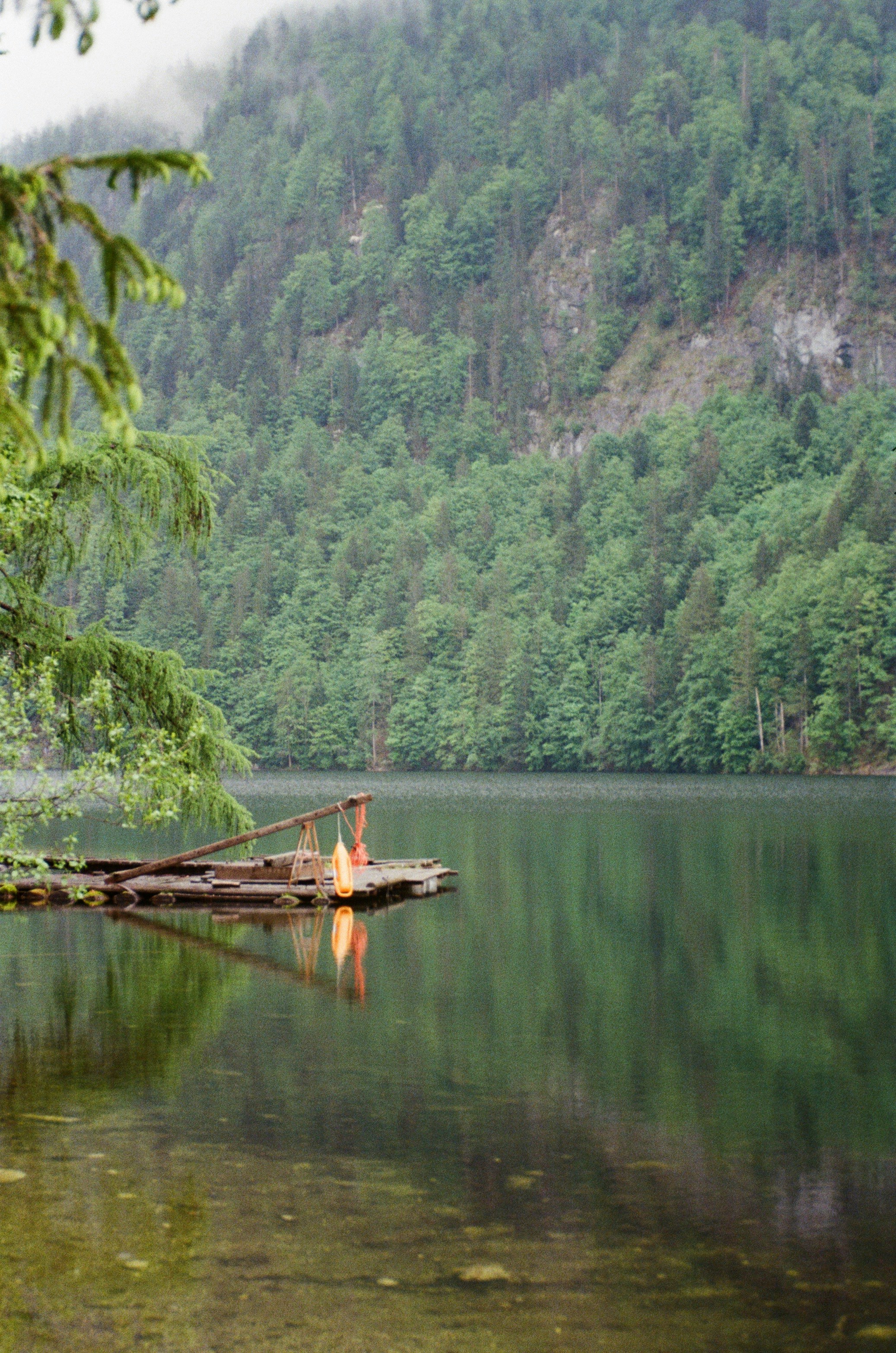 A calm lake reflects a forest and dock.
