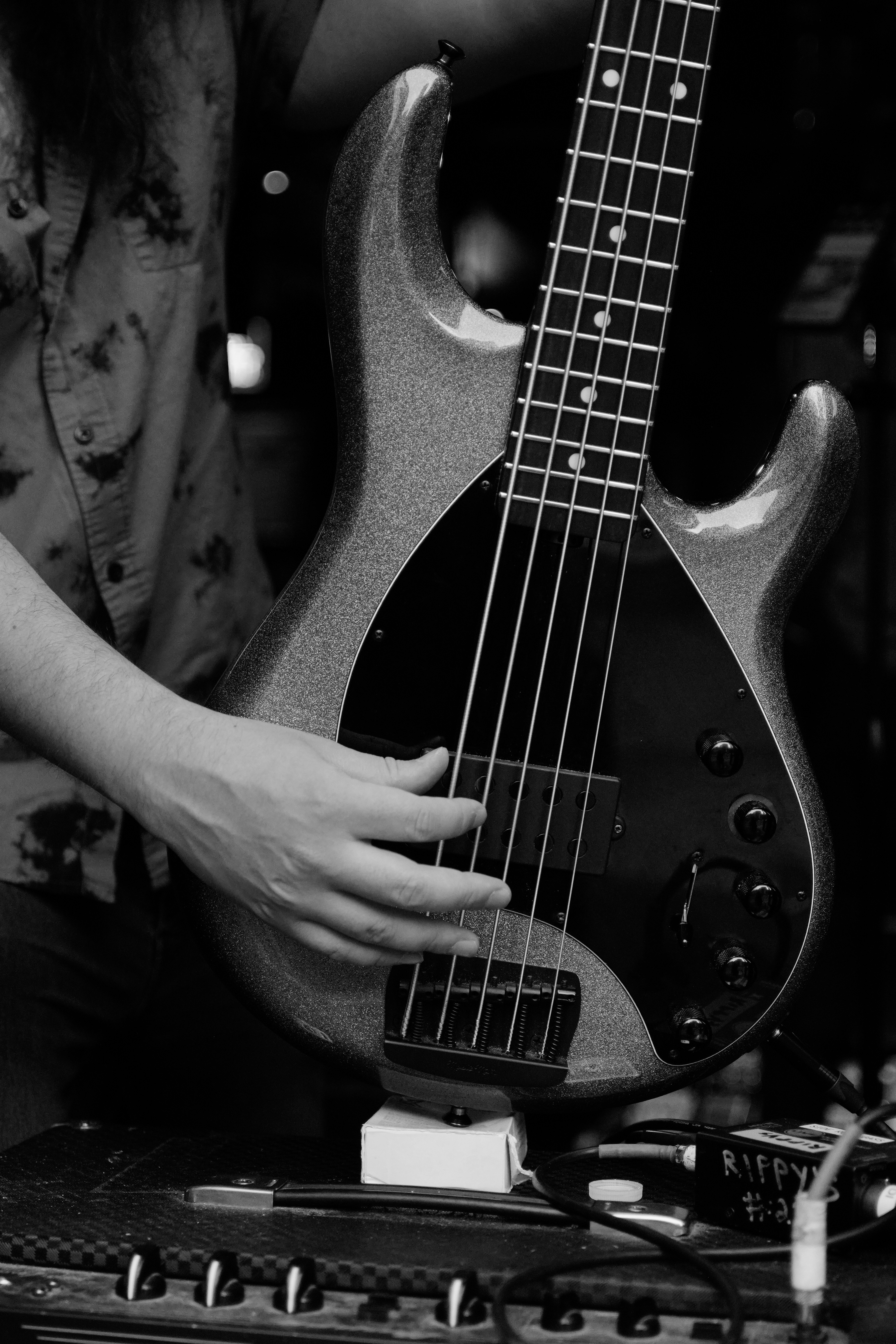 Photo by barnabaspiper