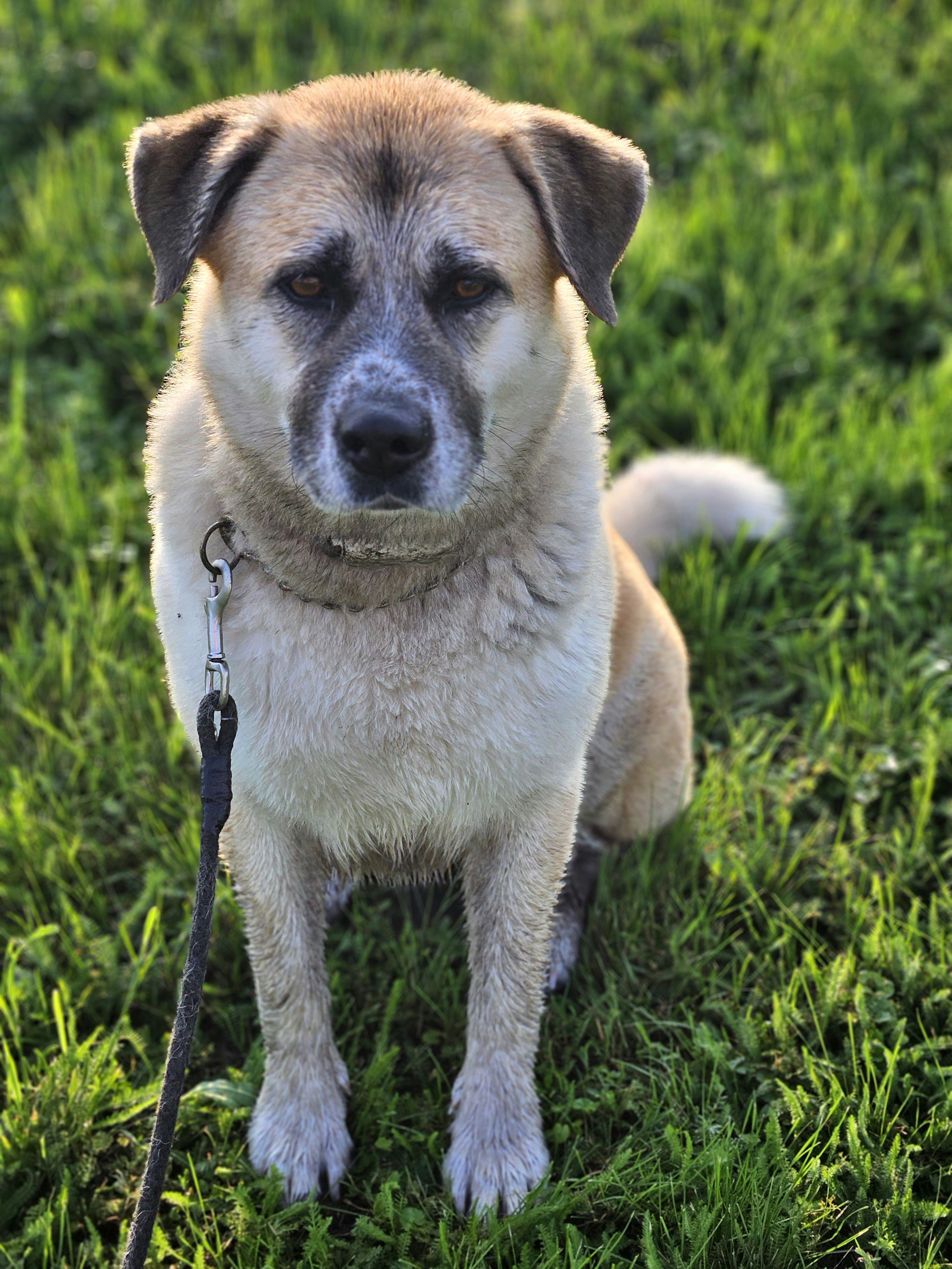 Photo by marjorylucabaxter