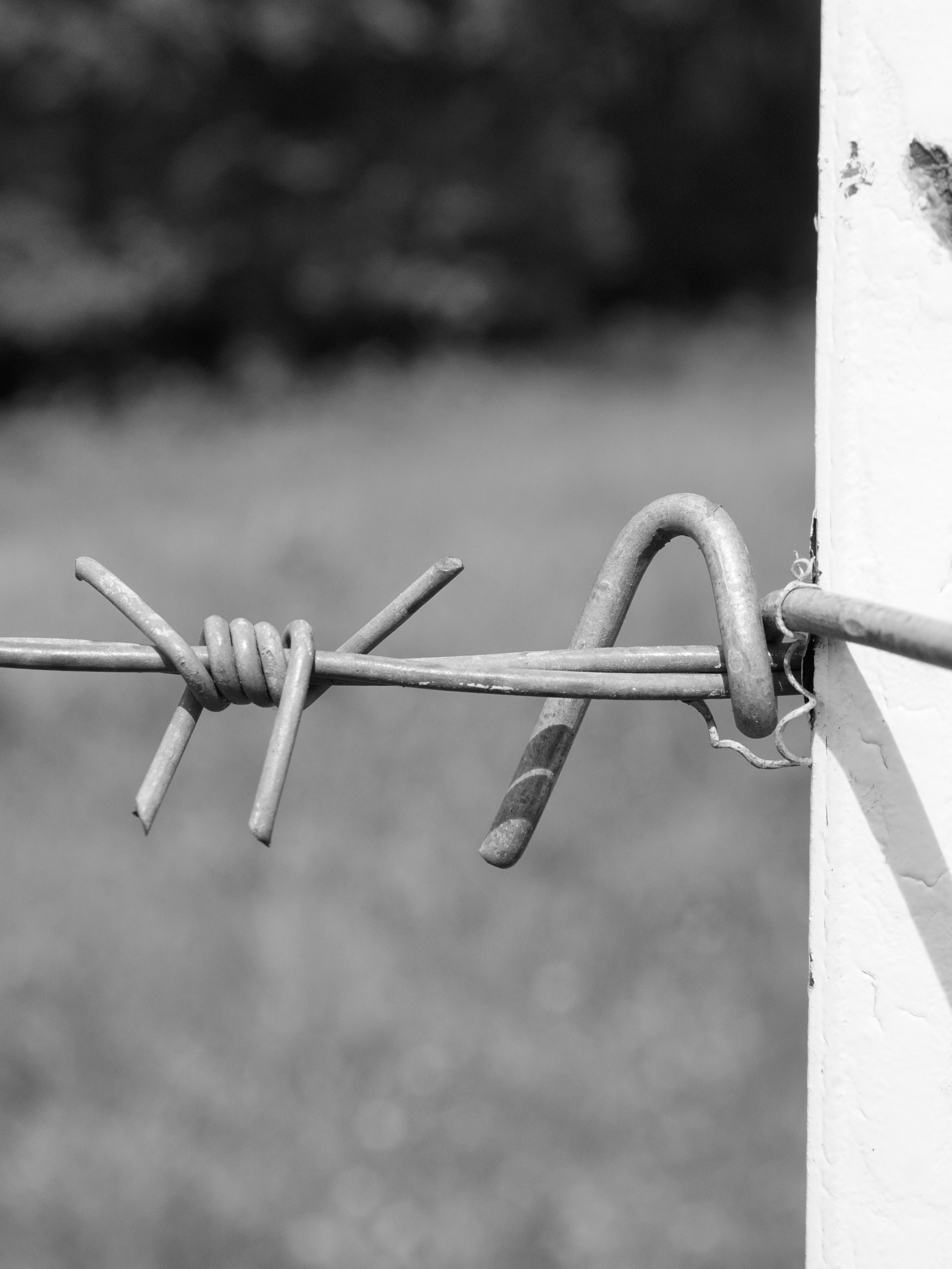 Photo by barnabaspiper